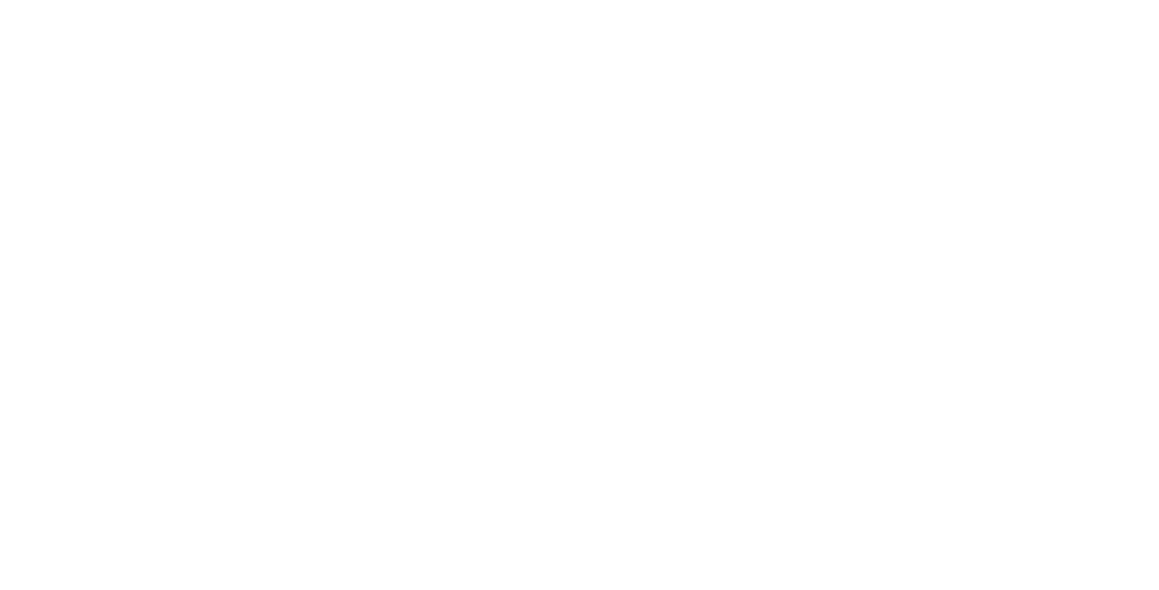 바이스: 범죄도시