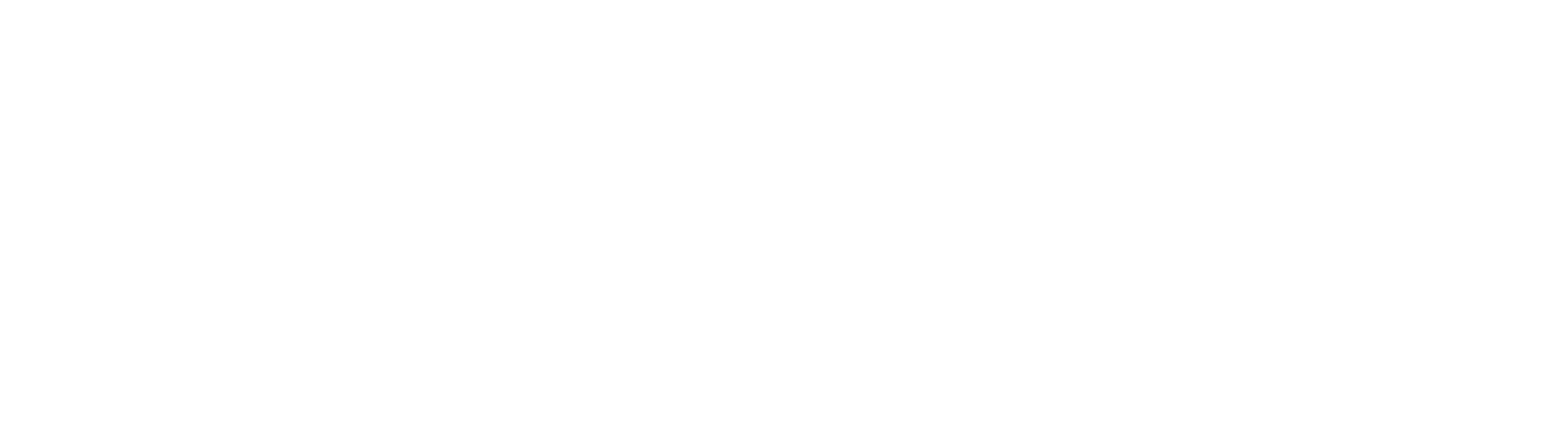 분노의 질주