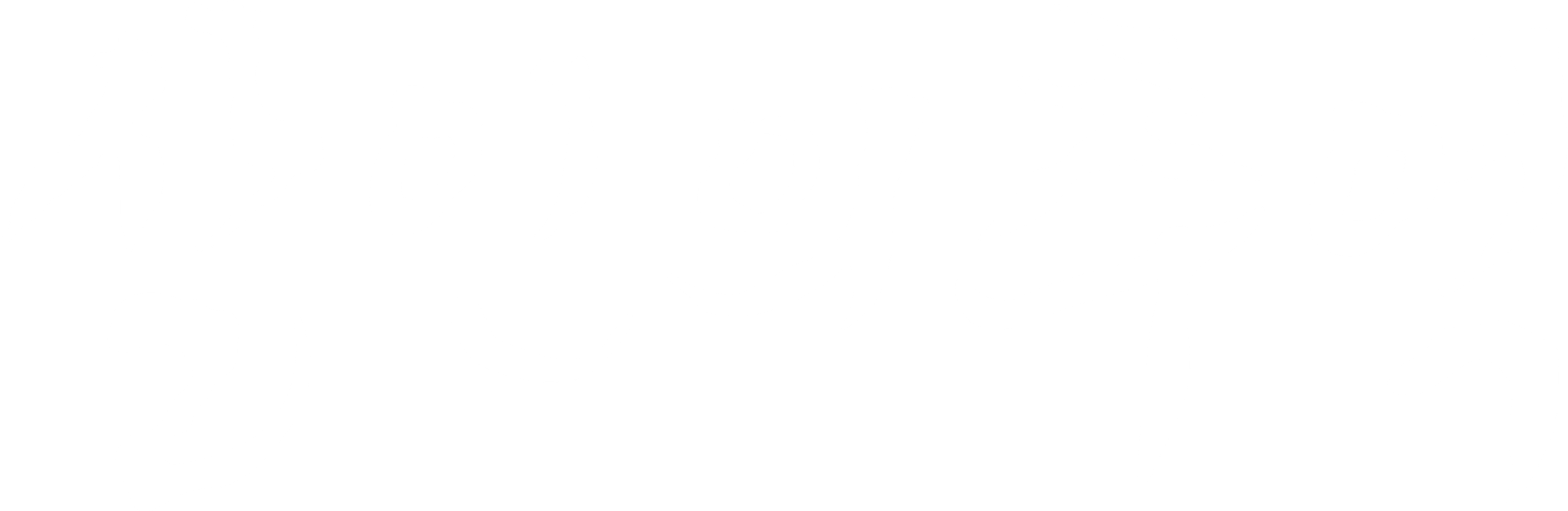 살인의 추억