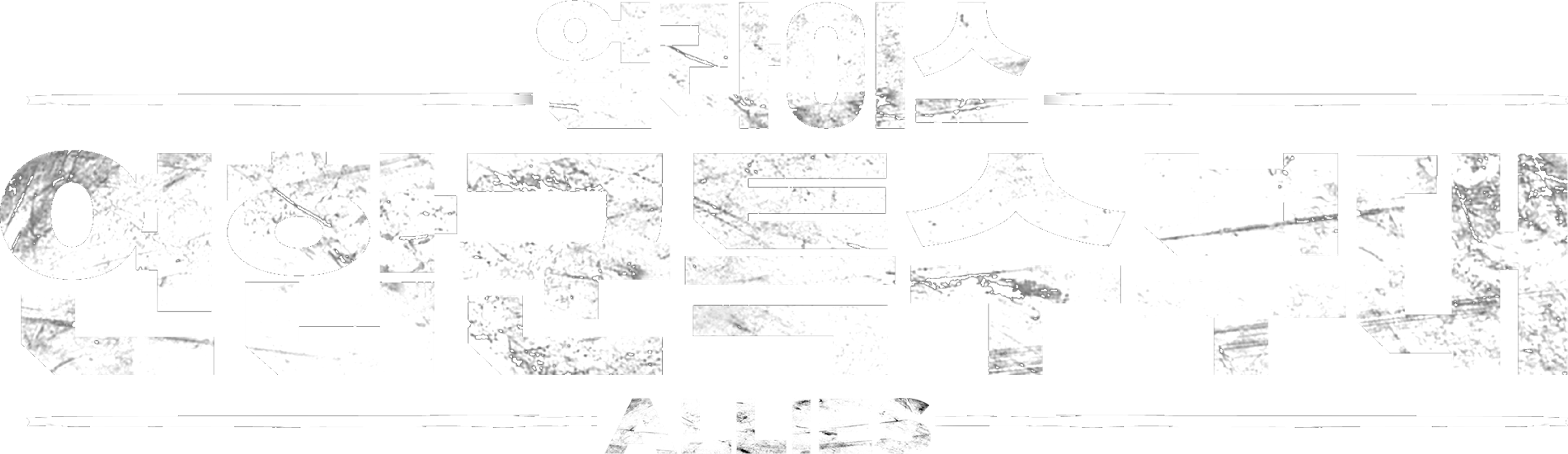 얼라이스: 연합군특수부대
