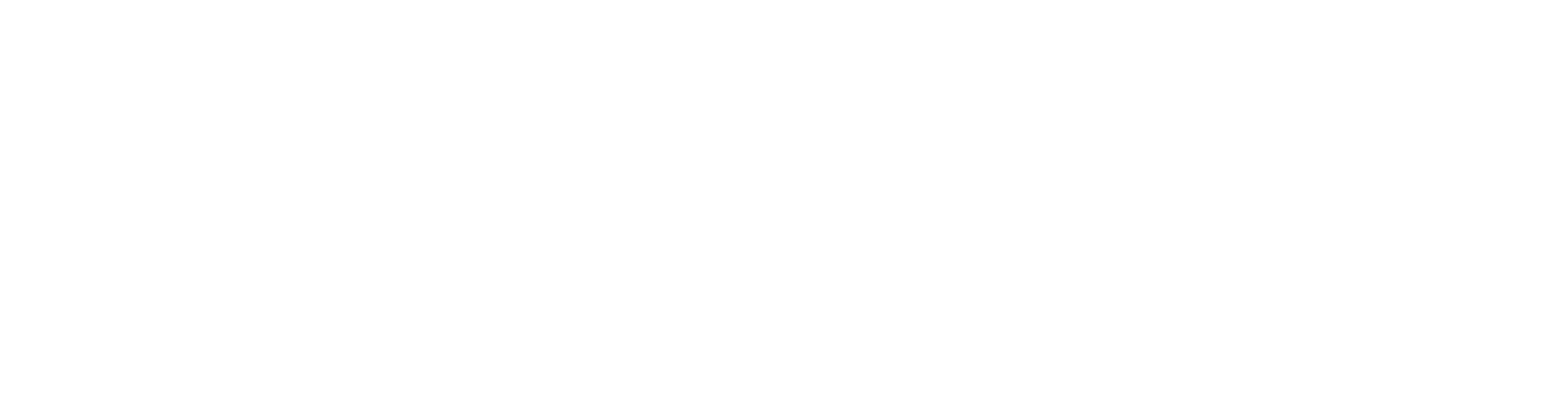 미스터 디즈