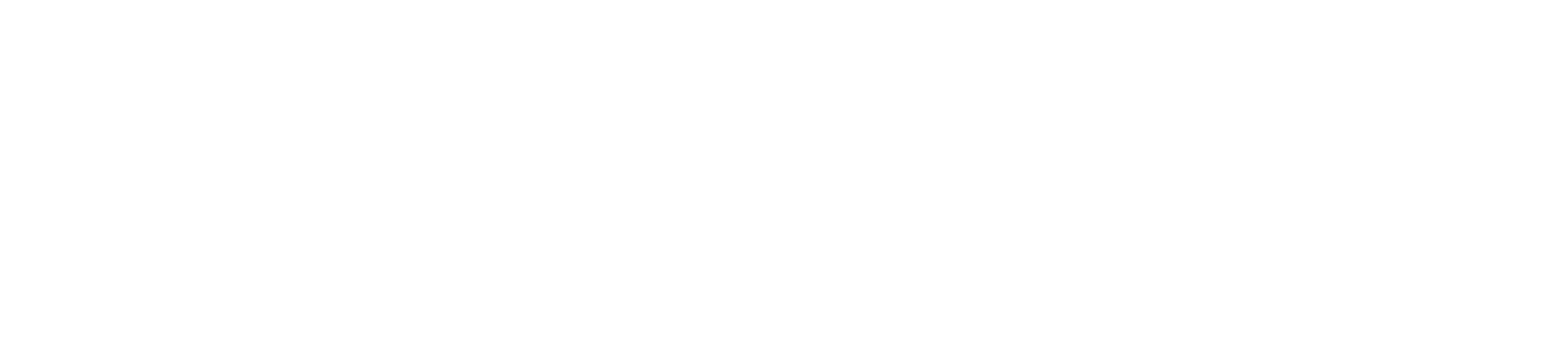 여우소년