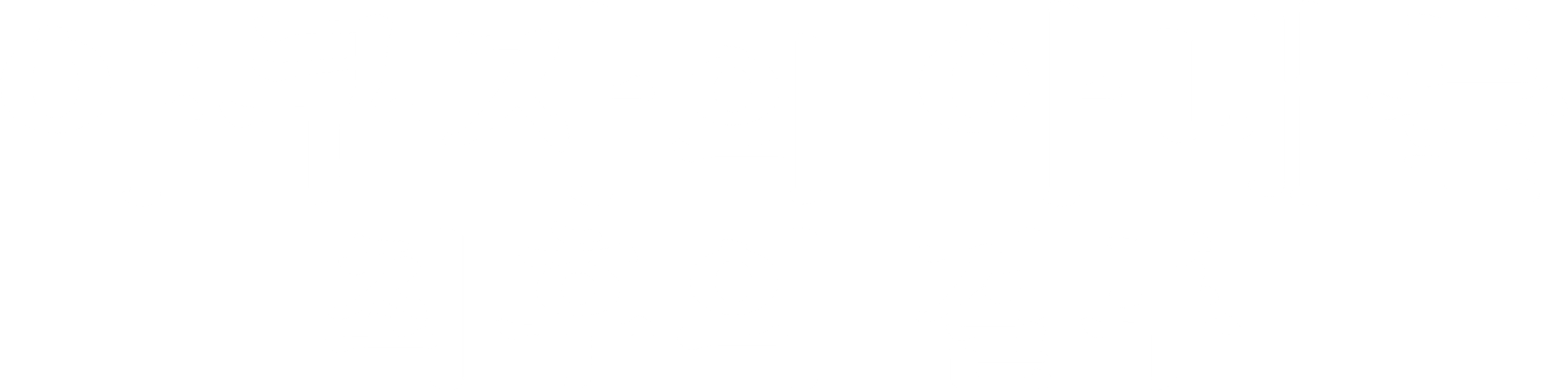 야쿠자의 아내들 : 최후의 결투