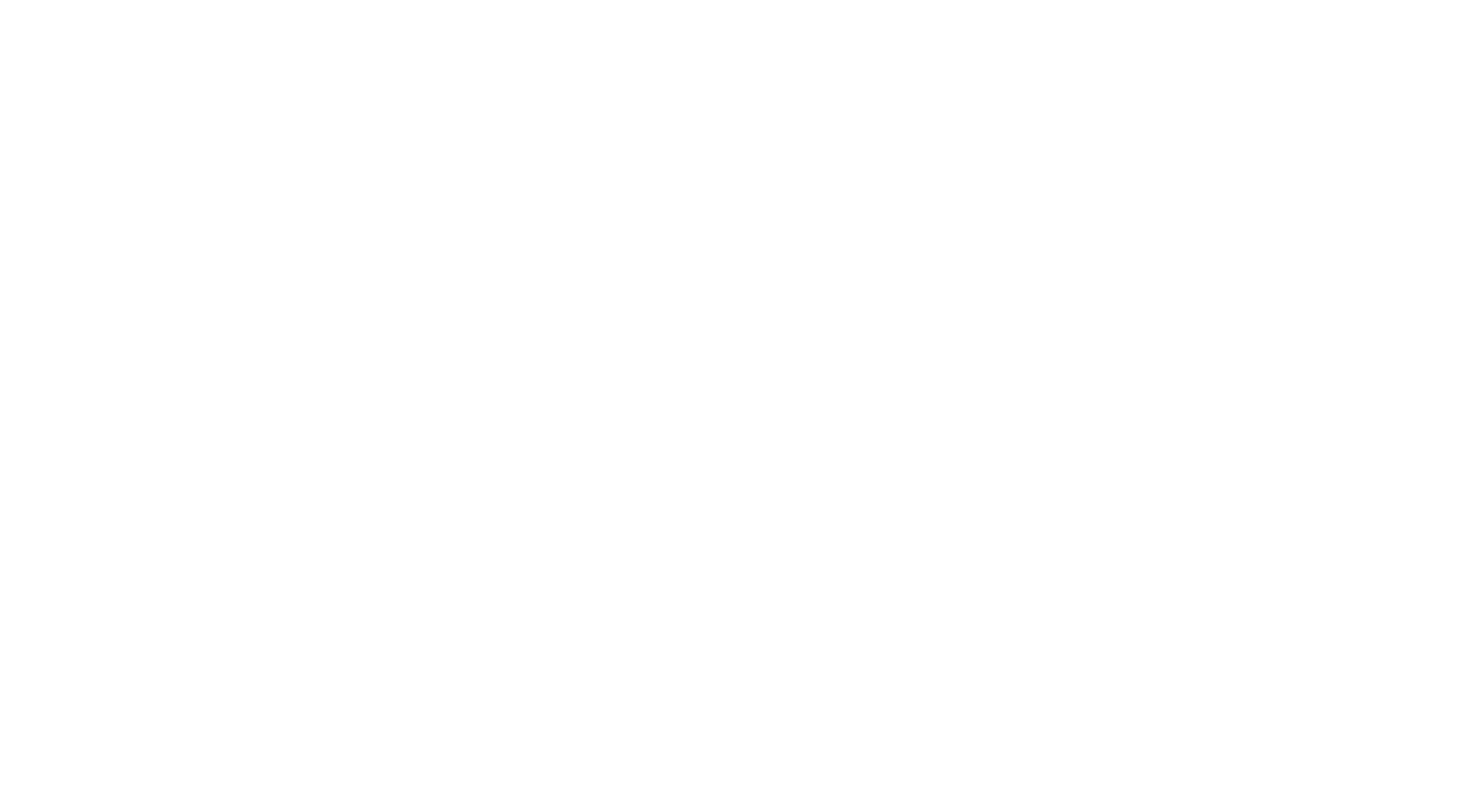 분노의 추격자