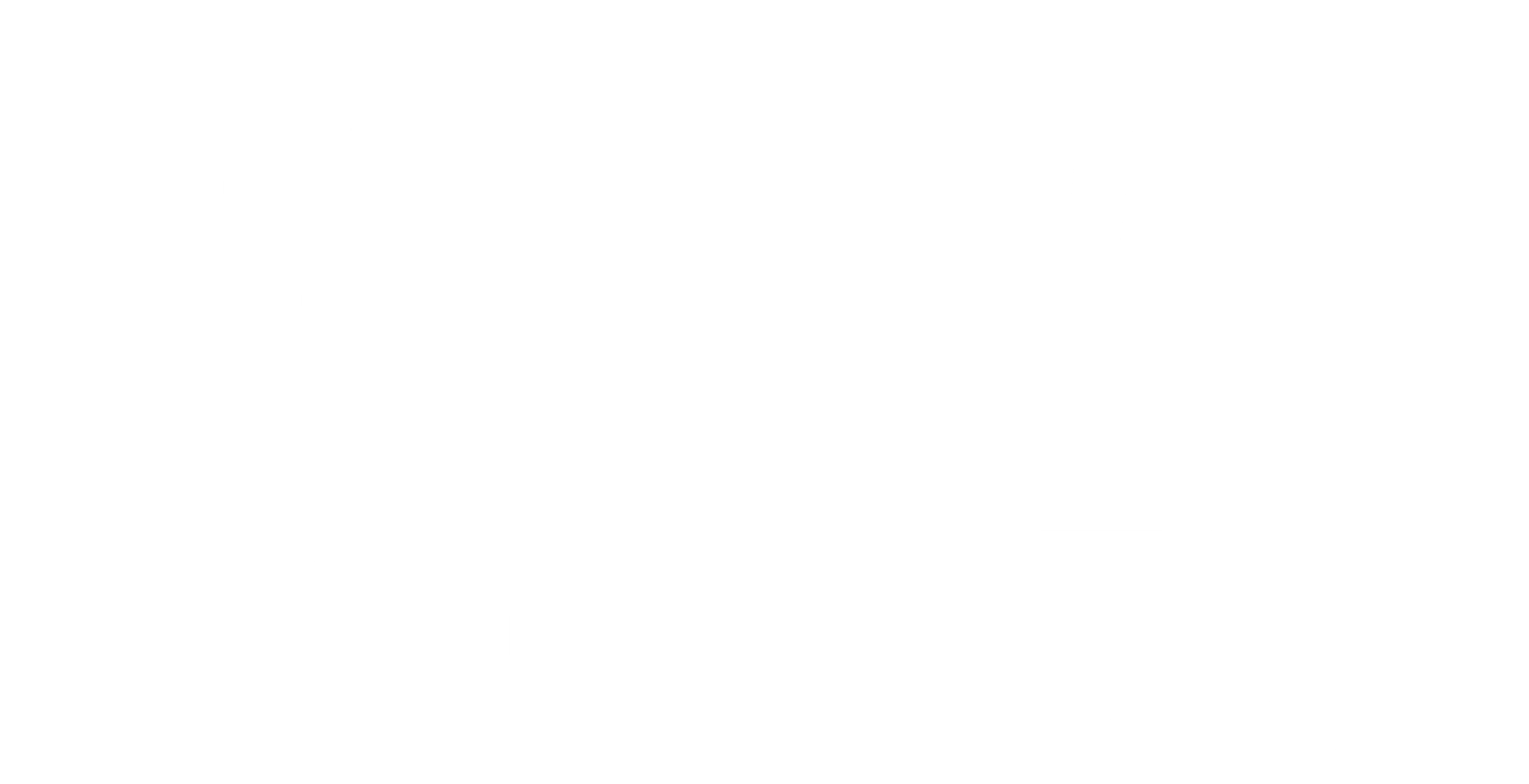 홀로그램 포 더 킹