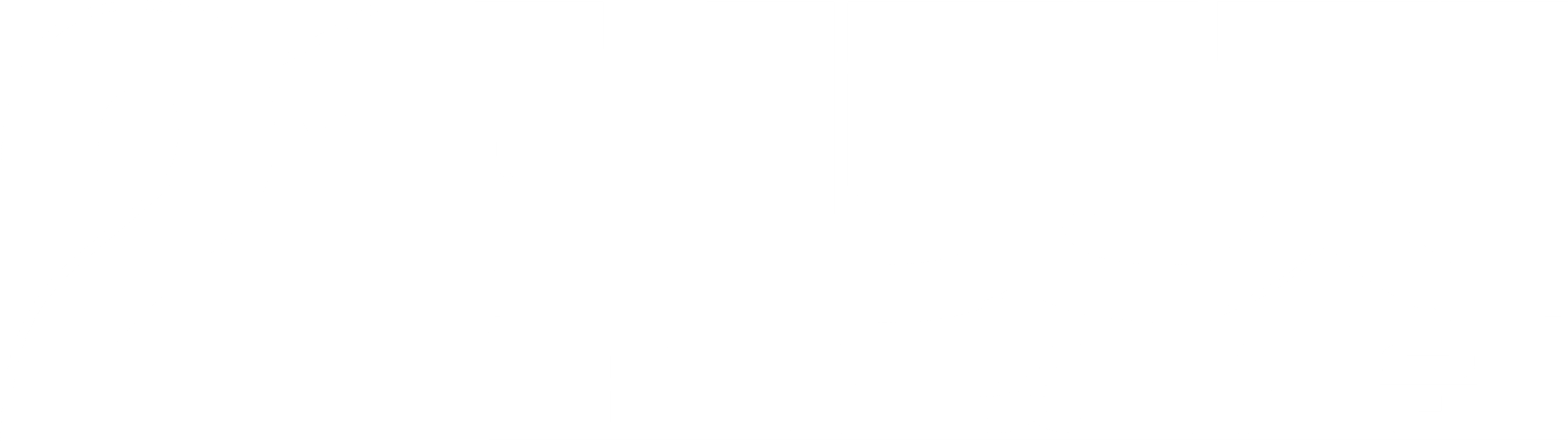 21 브릿지: 테러 셧다운