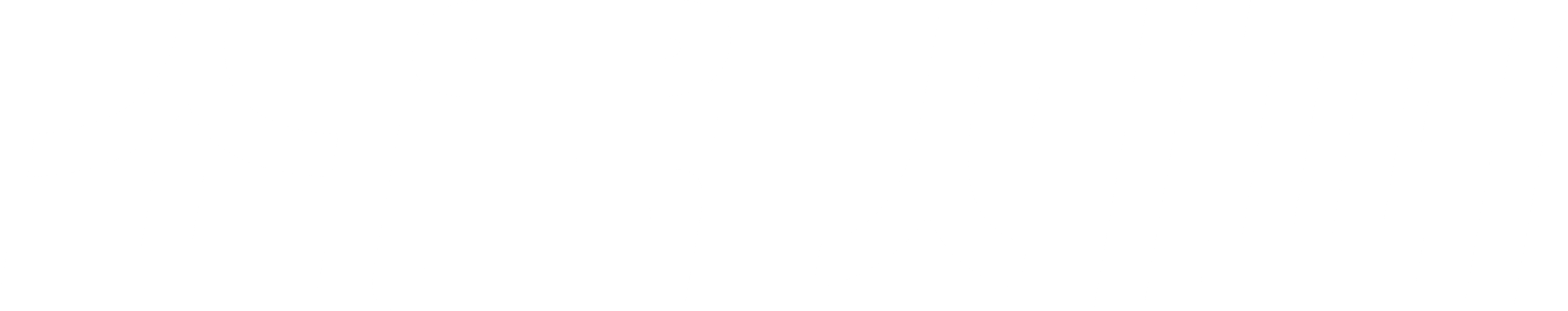소울 서퍼