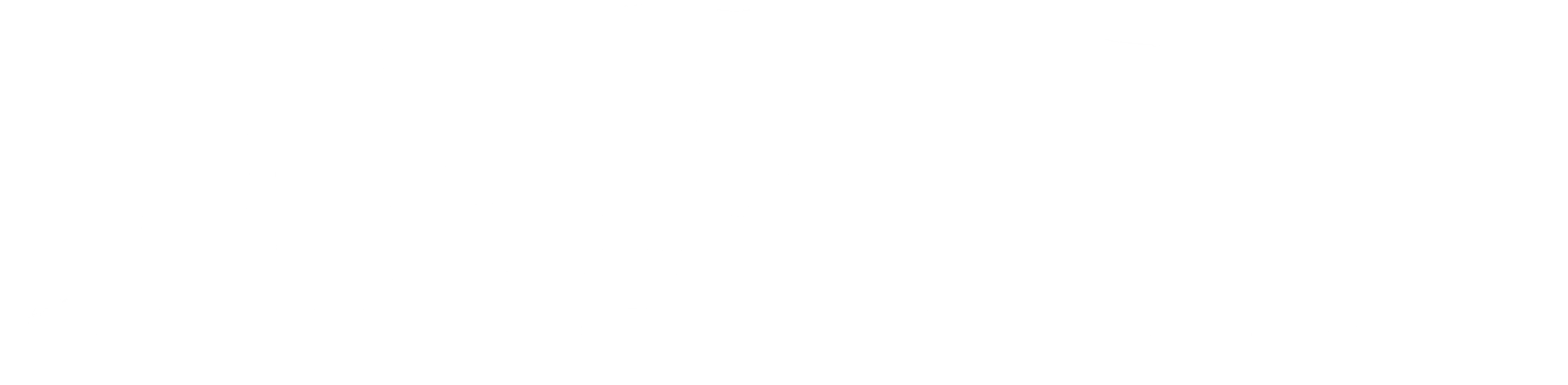 가필드 2