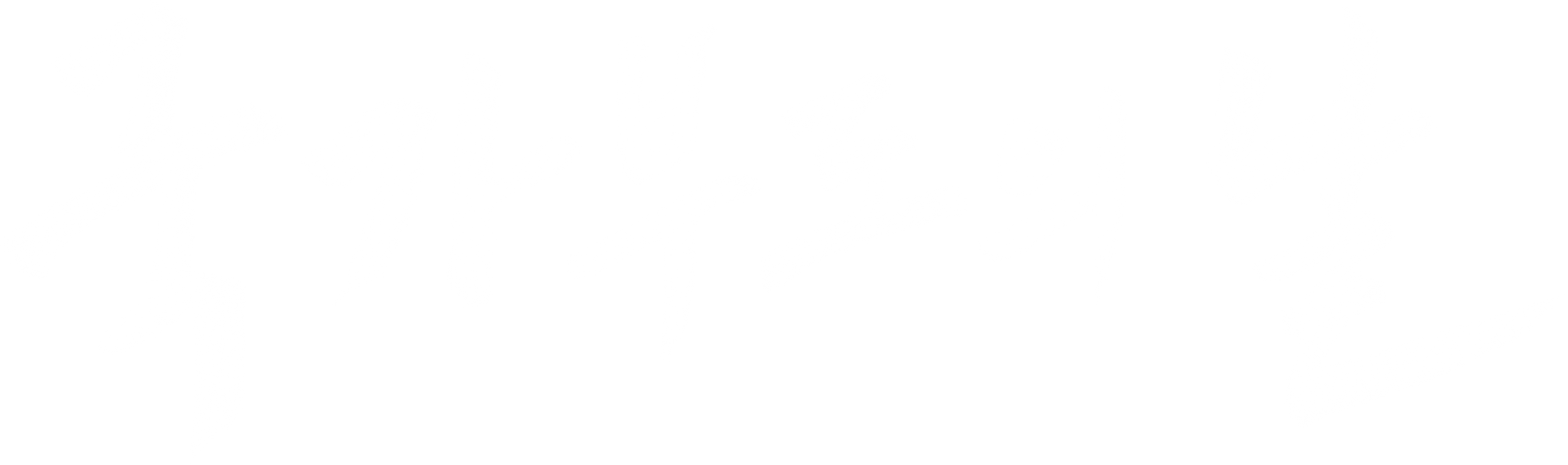 국가부도의 날