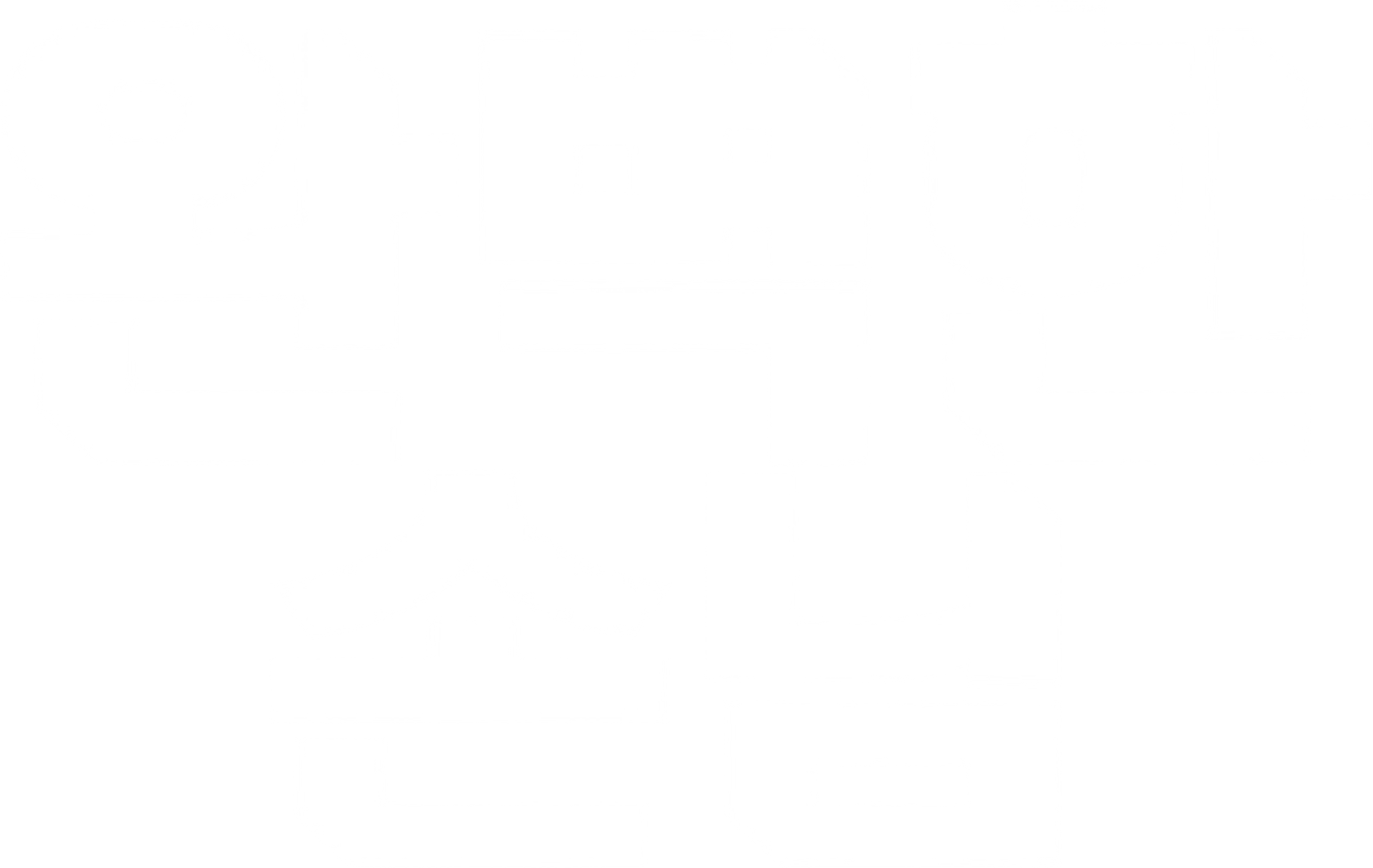 완벽한 손님