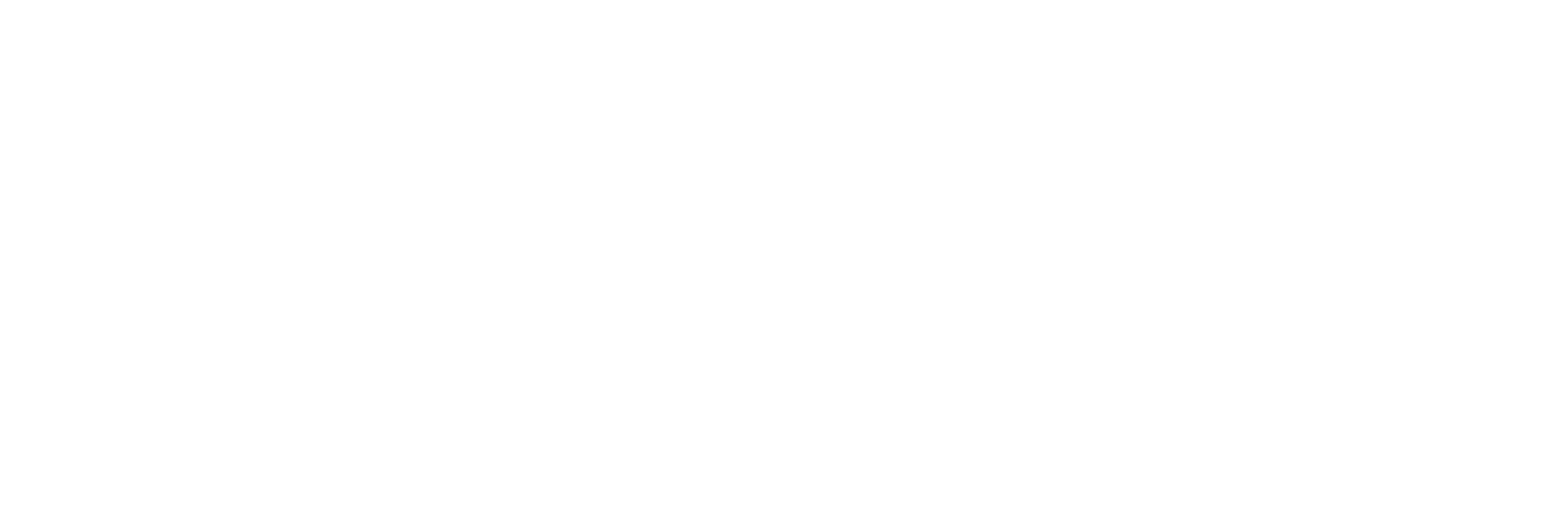 수어사이드 쇼