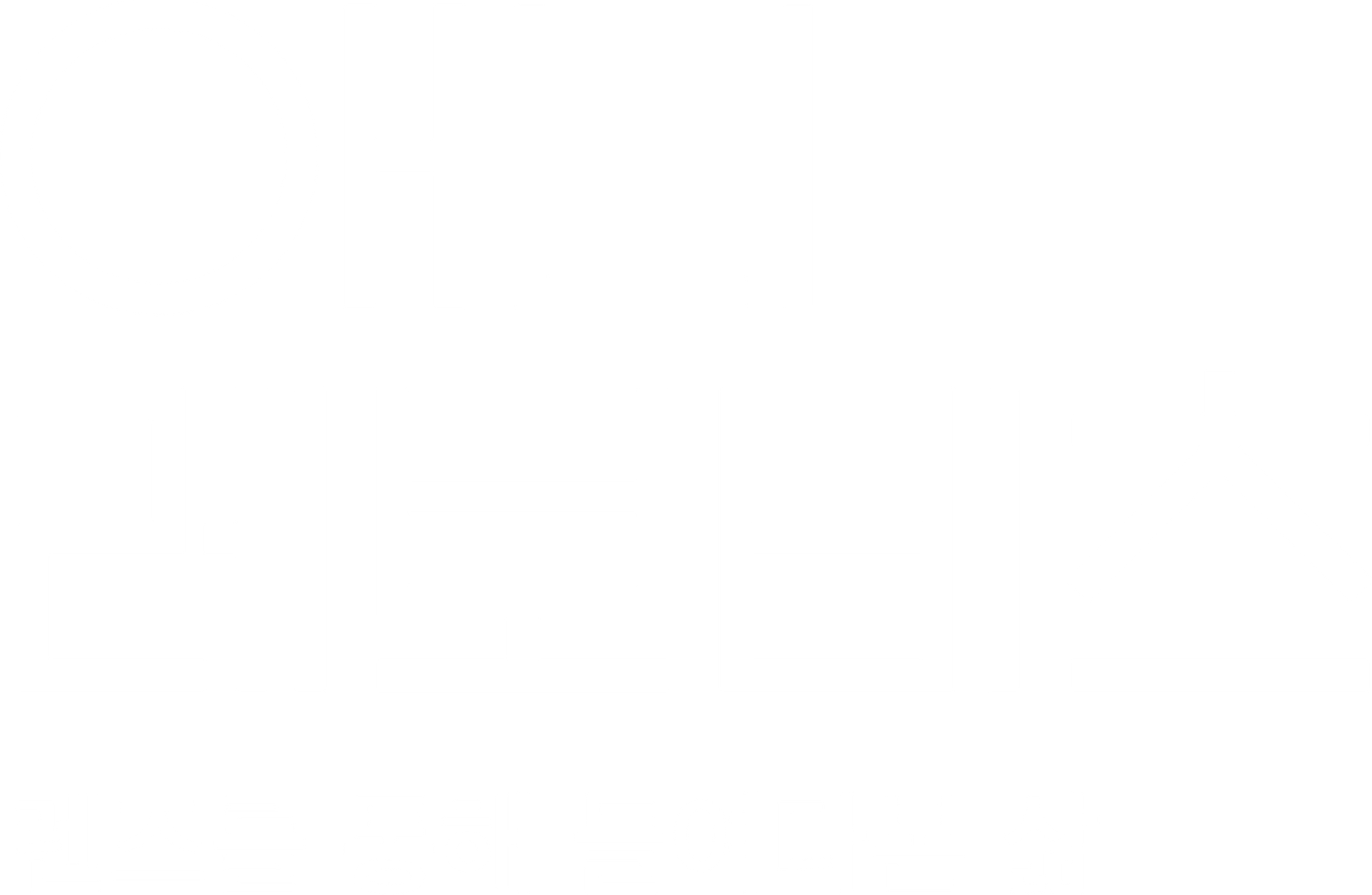 애니 레보비츠: 렌즈를 통해 들여다본 삶
