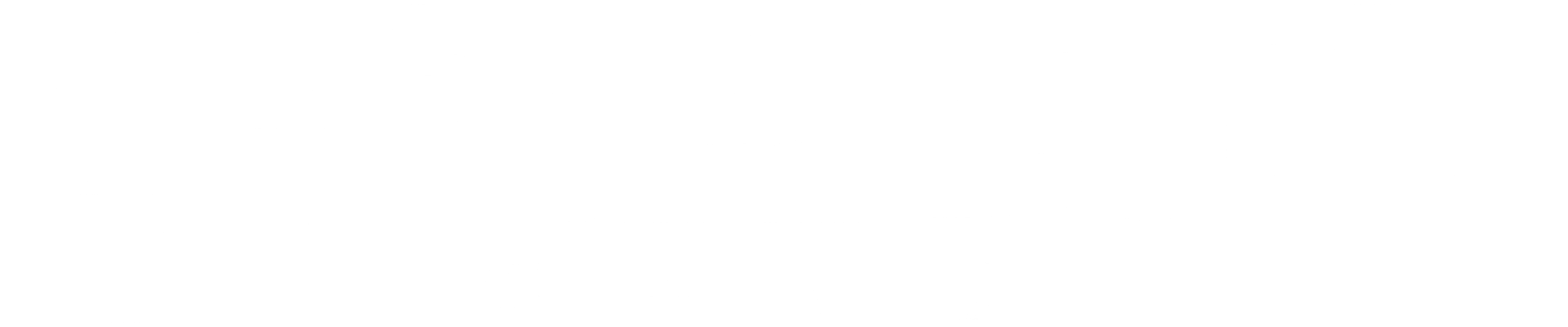 롱 리브 더 킹: 목포 영웅