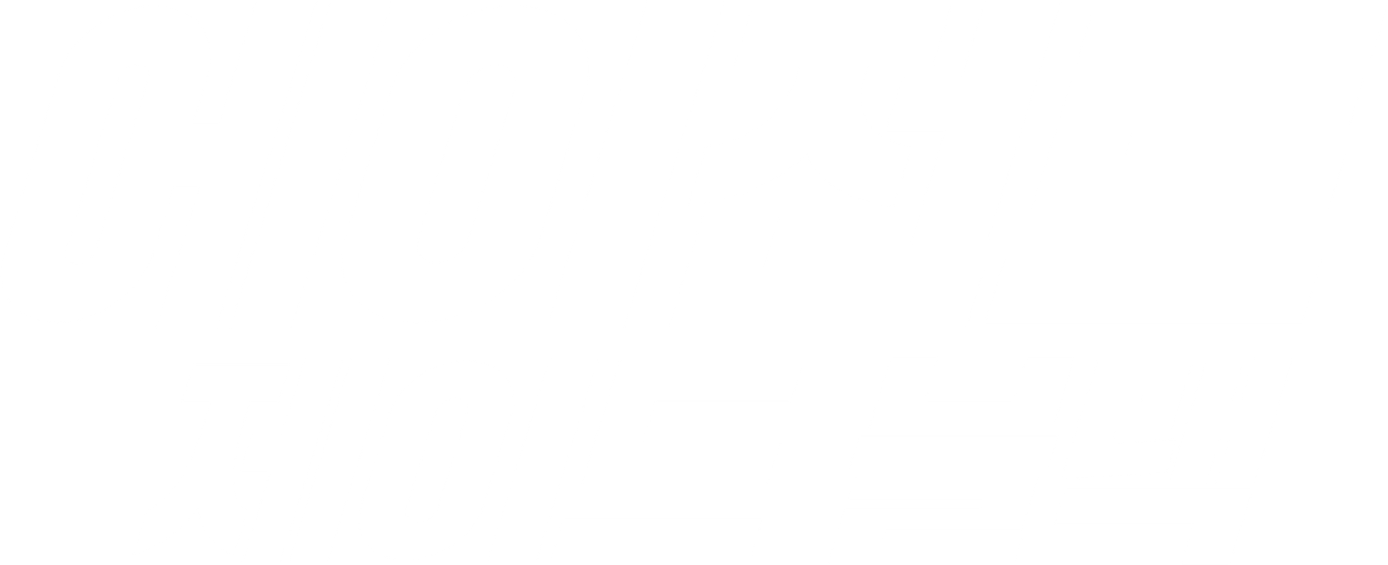에이전트 제이드 블랙