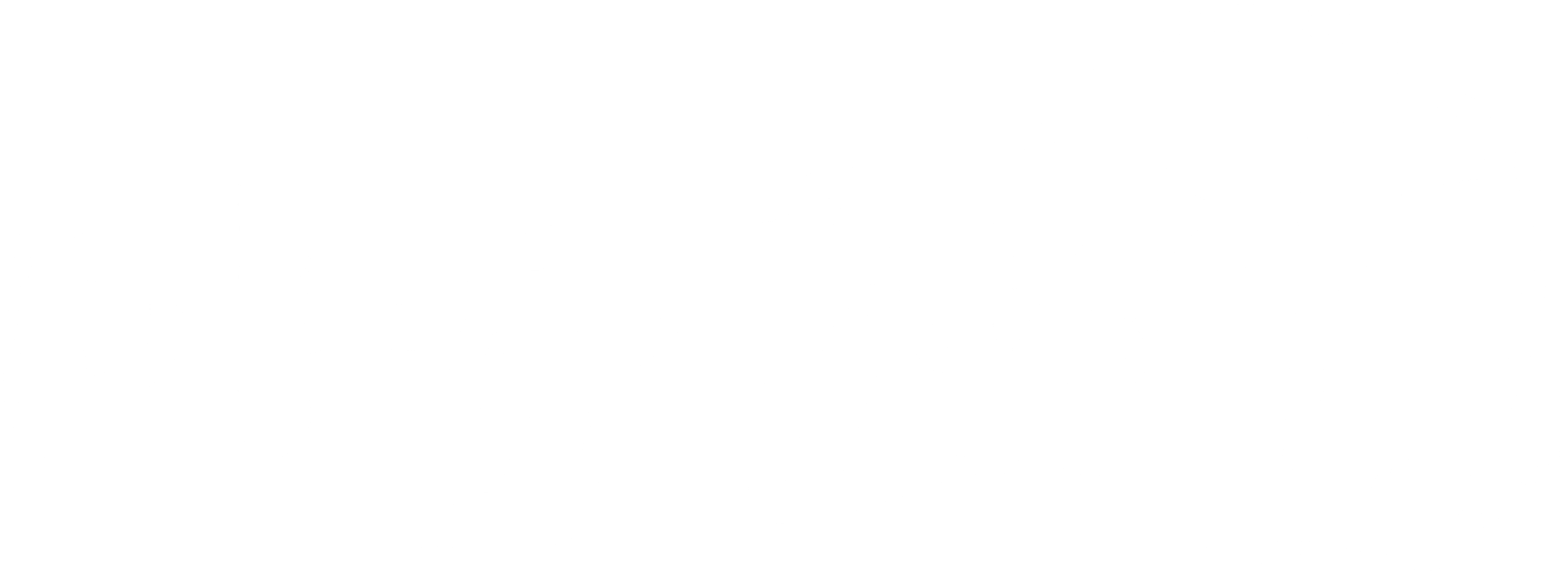 마도조사 Q