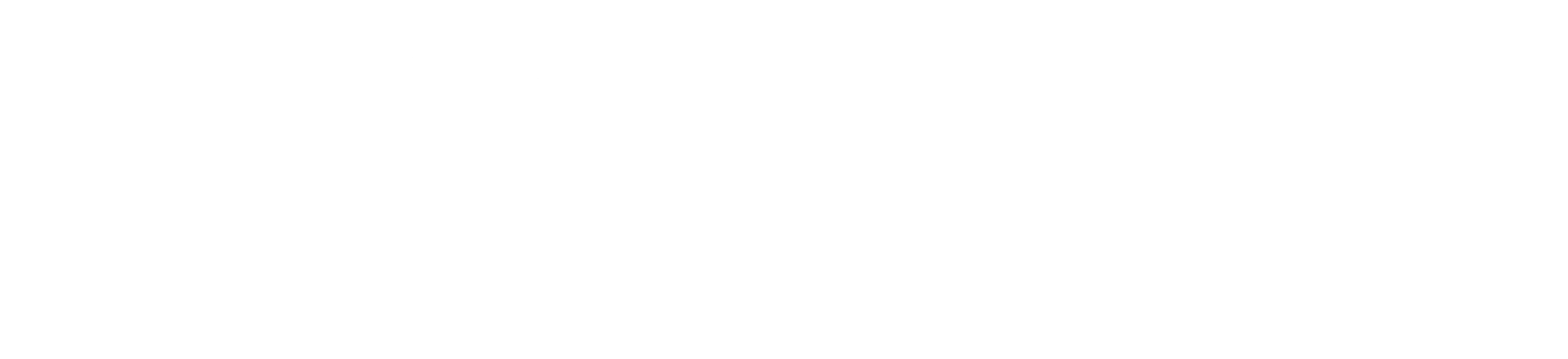 어댑테이션