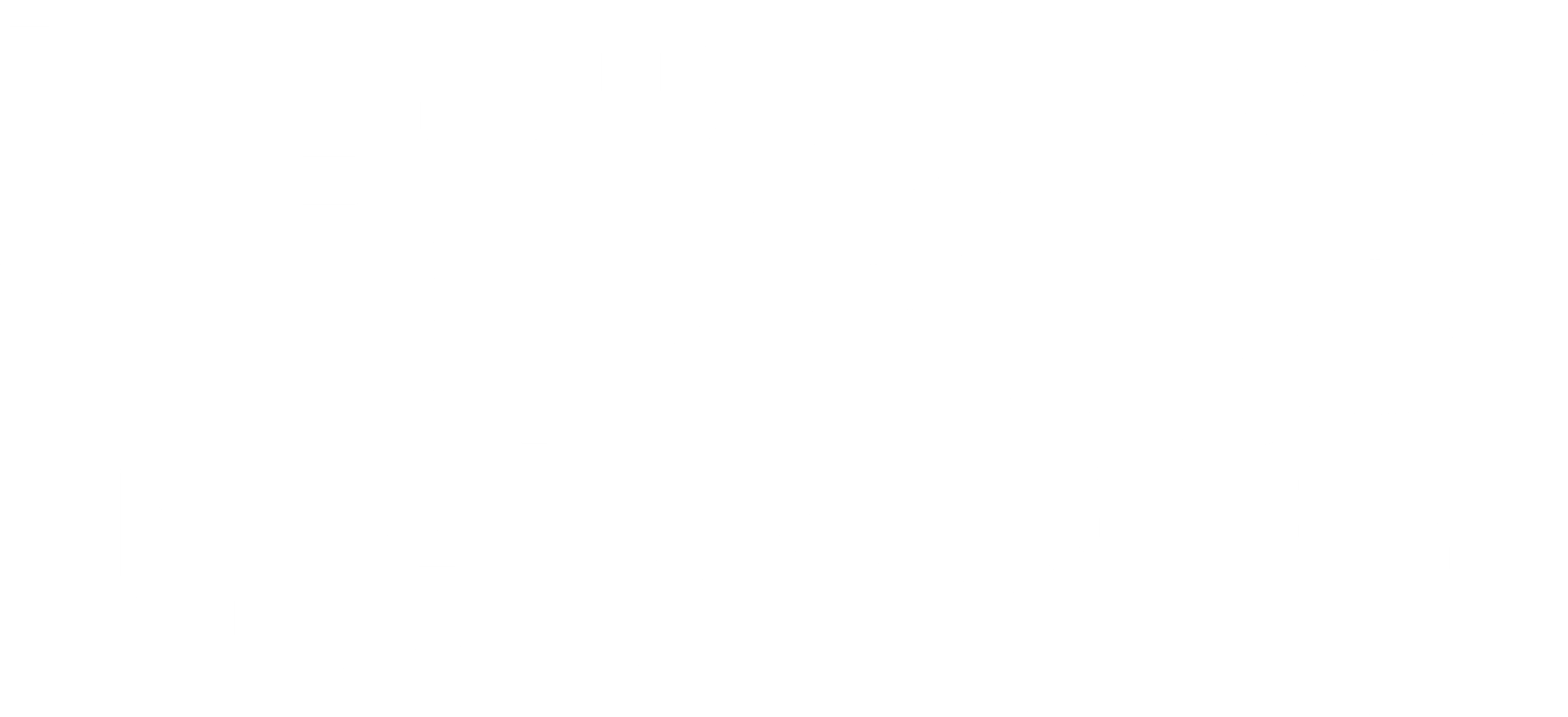 나폴레옹 토레스전투