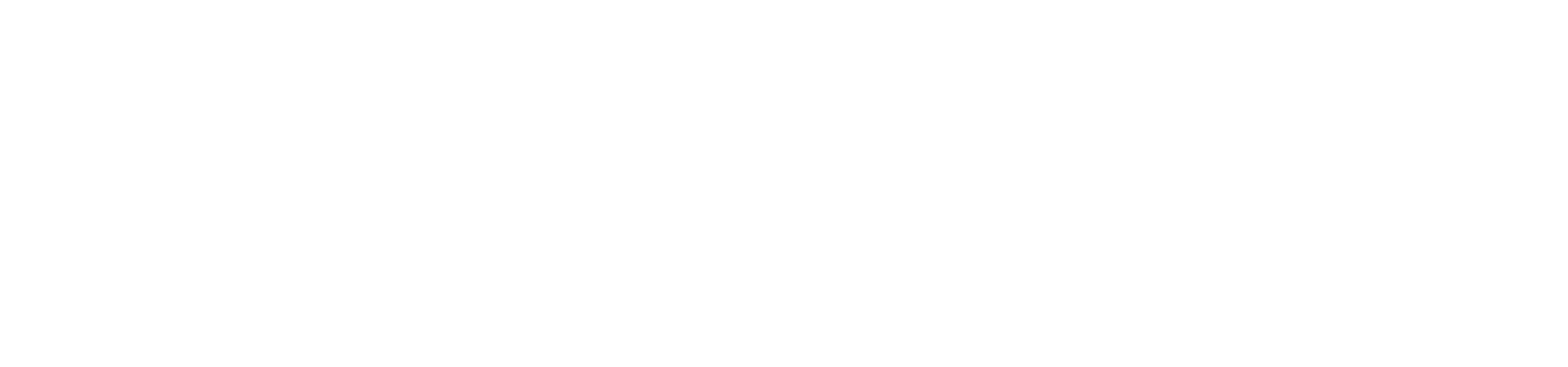코드네임 제로니모