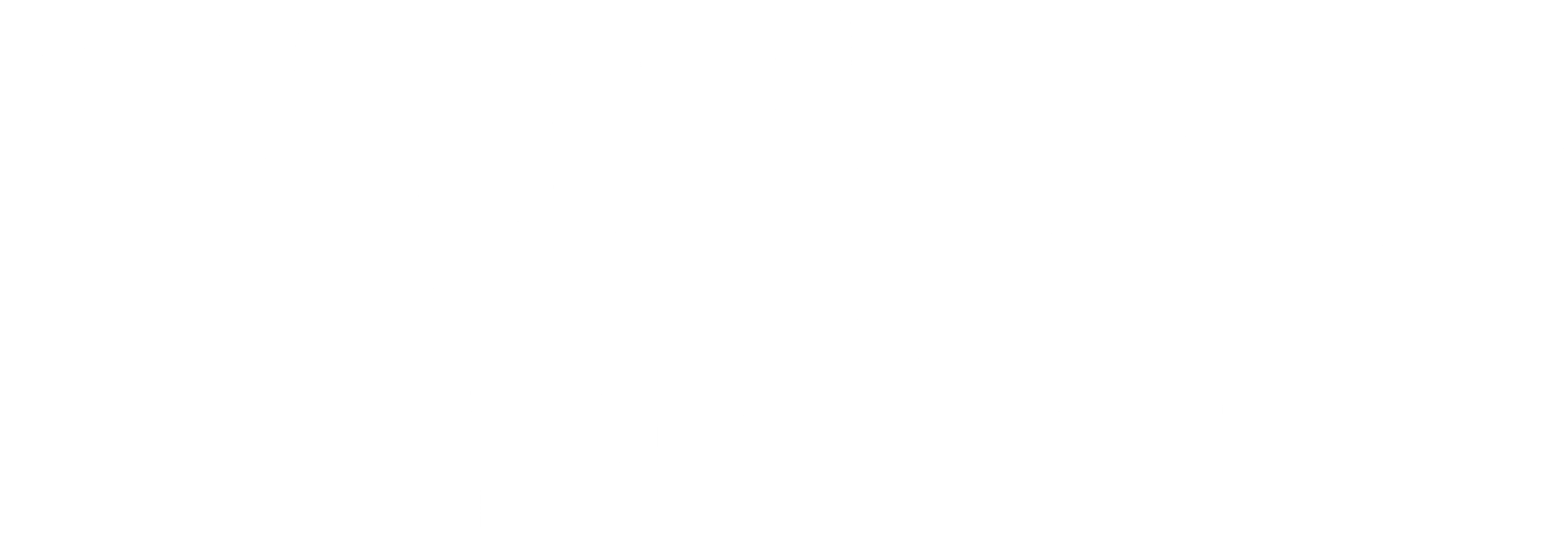 마다가스카3 : 이번엔 서커스다!