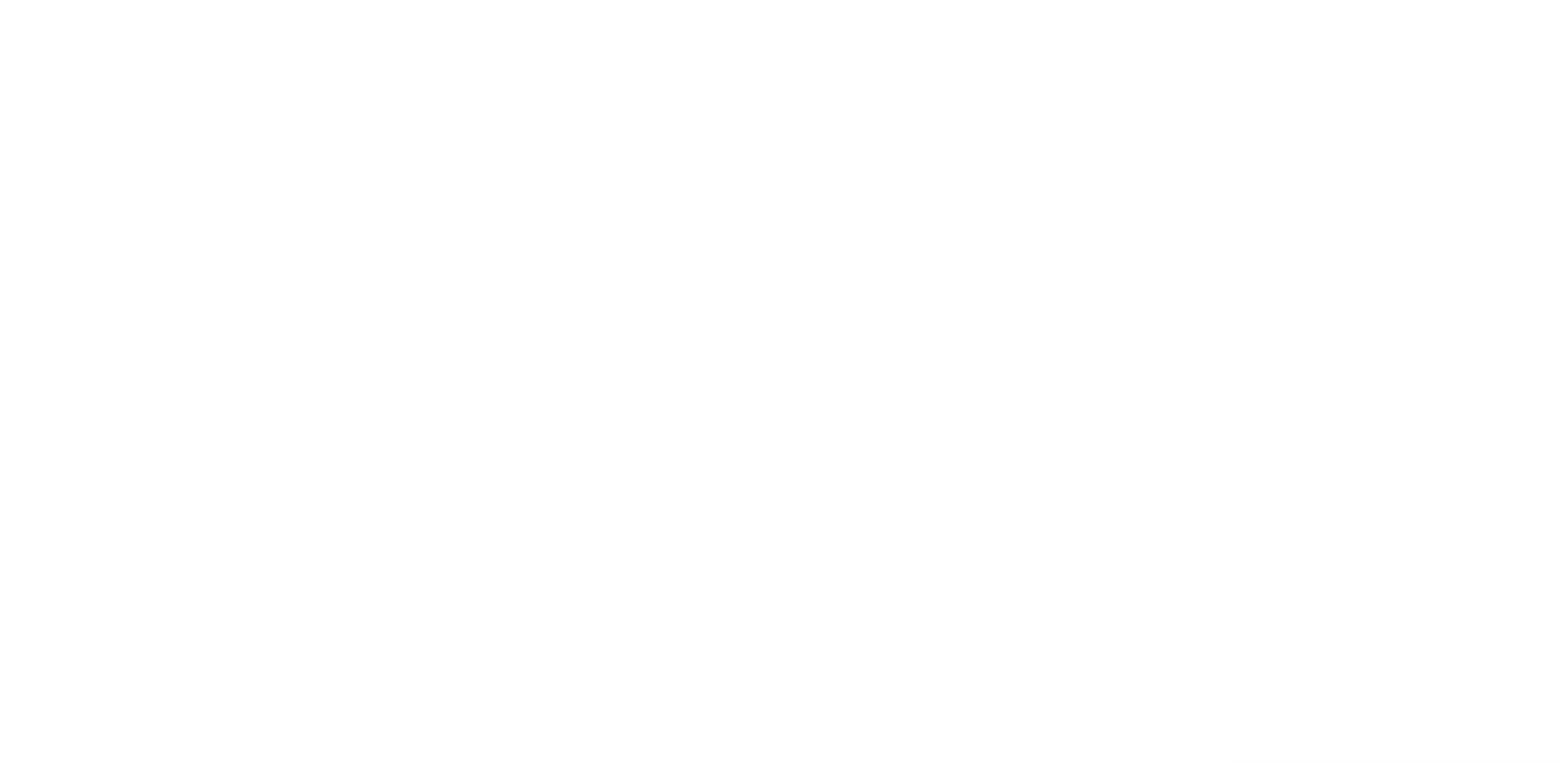 셔터 아일랜드