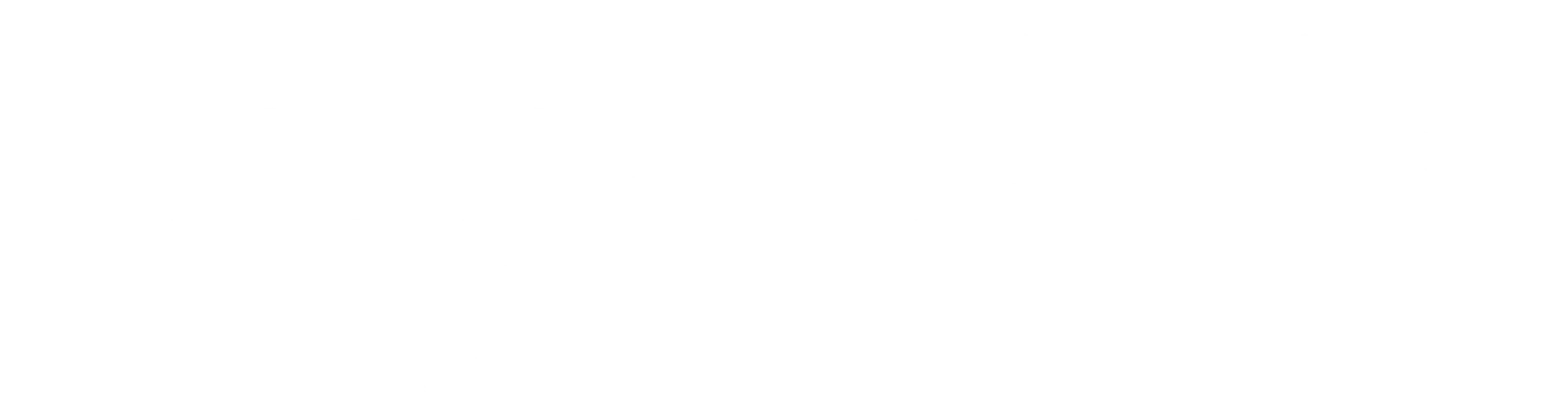 분노의 질주: 홉스 & 쇼