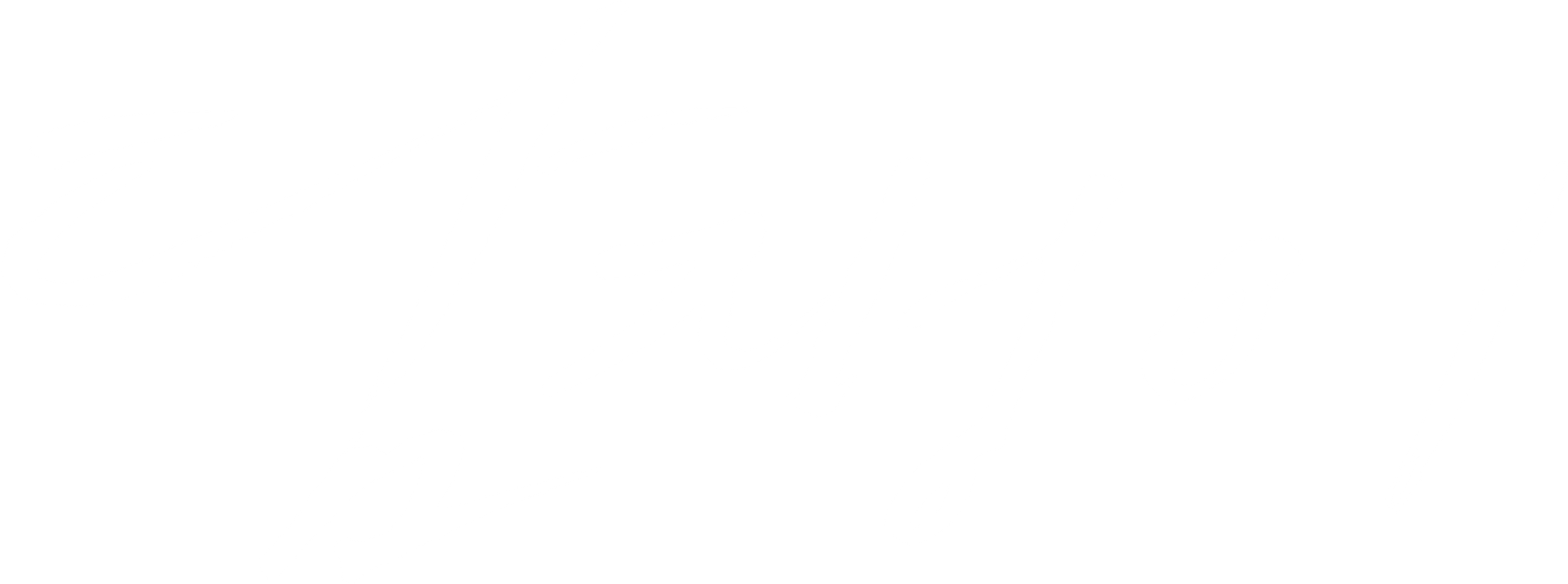 담쟁이
