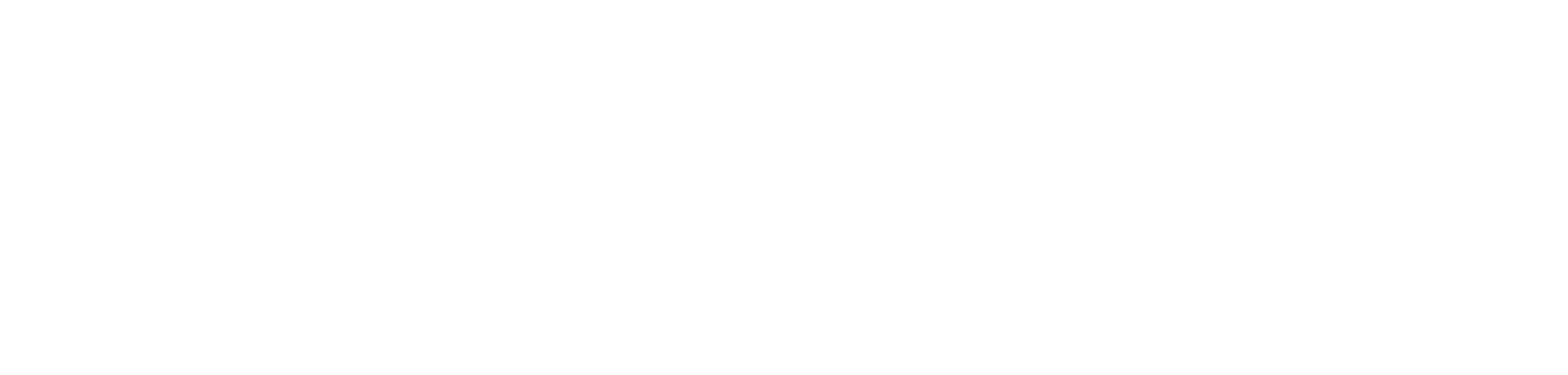 비룡본색