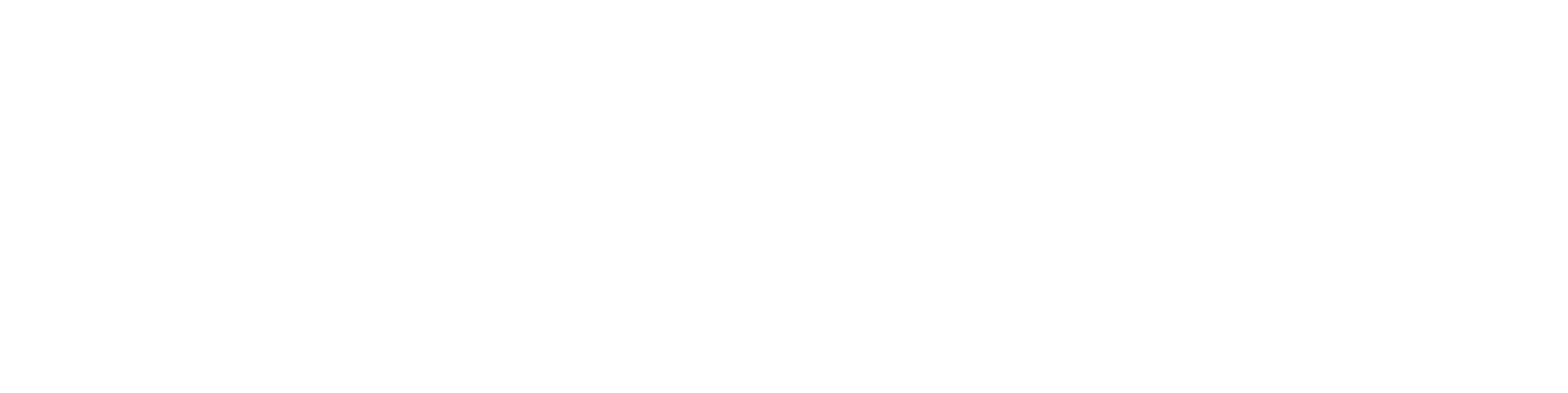 부엉이의 눈