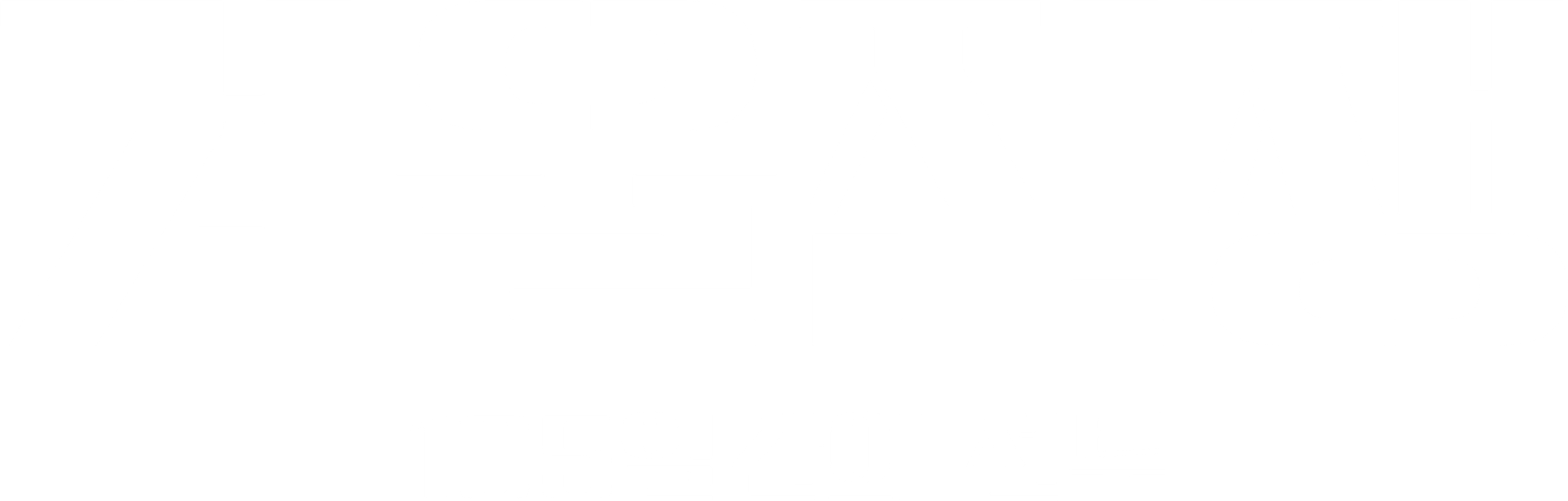 겨울전쟁: 105일간의 전투