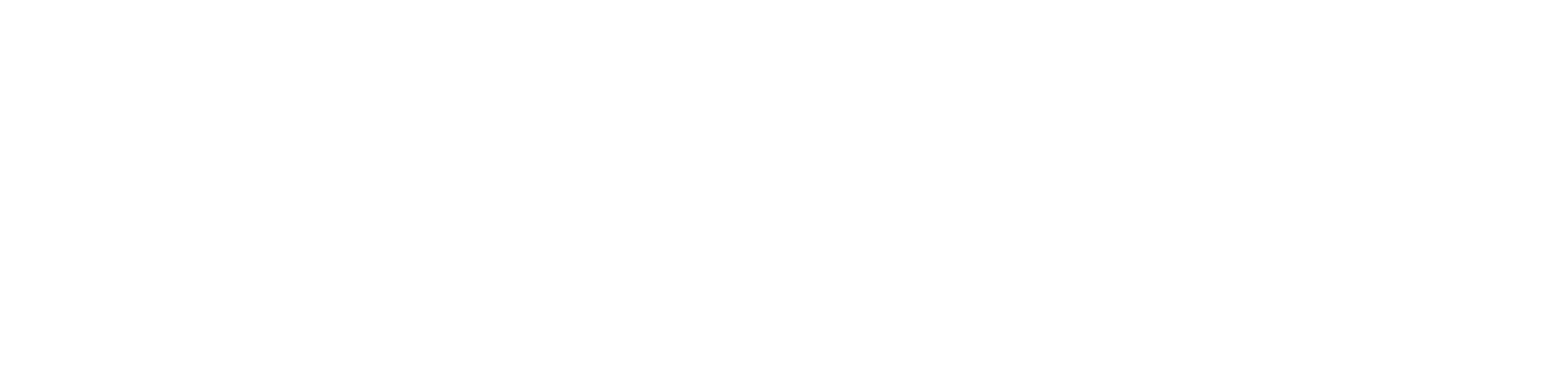 해피 피트