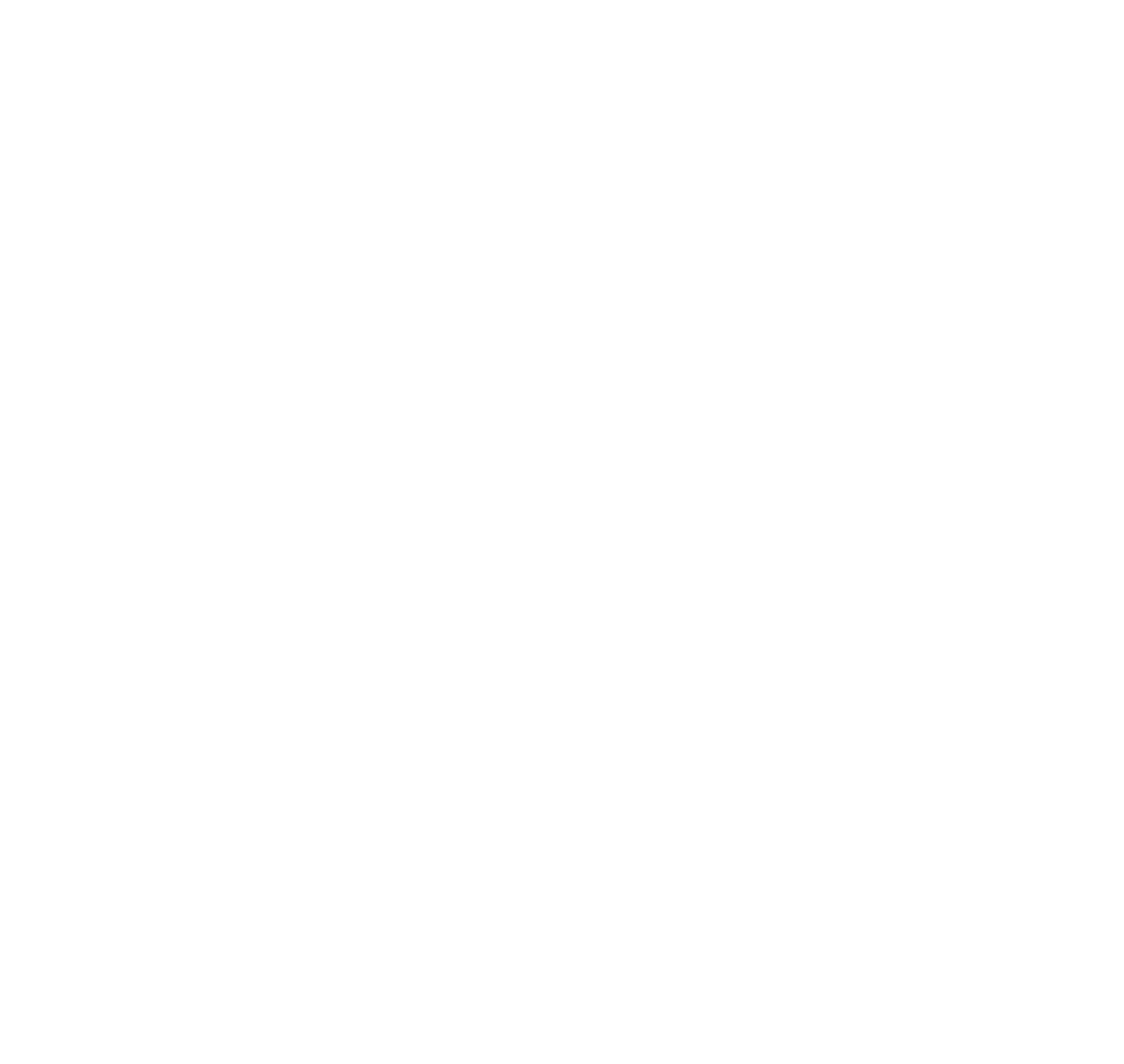 보더라인