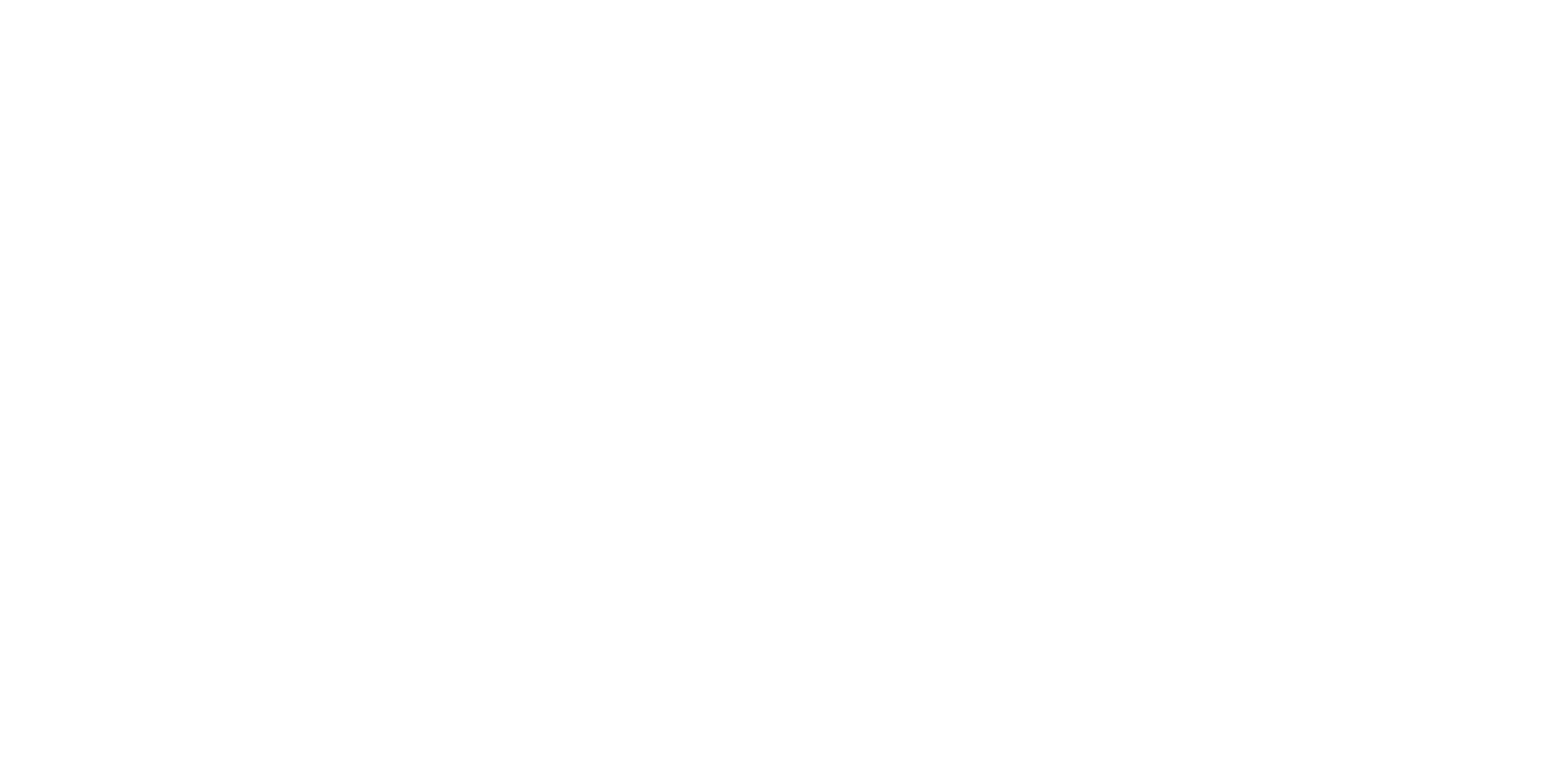 보이스 비
