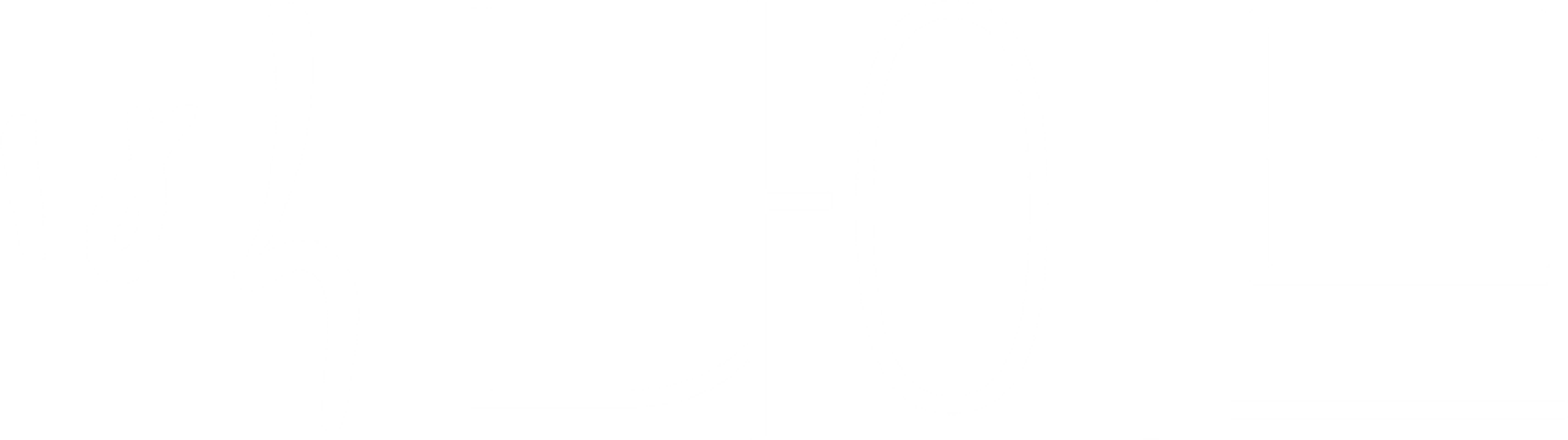빅 나이트