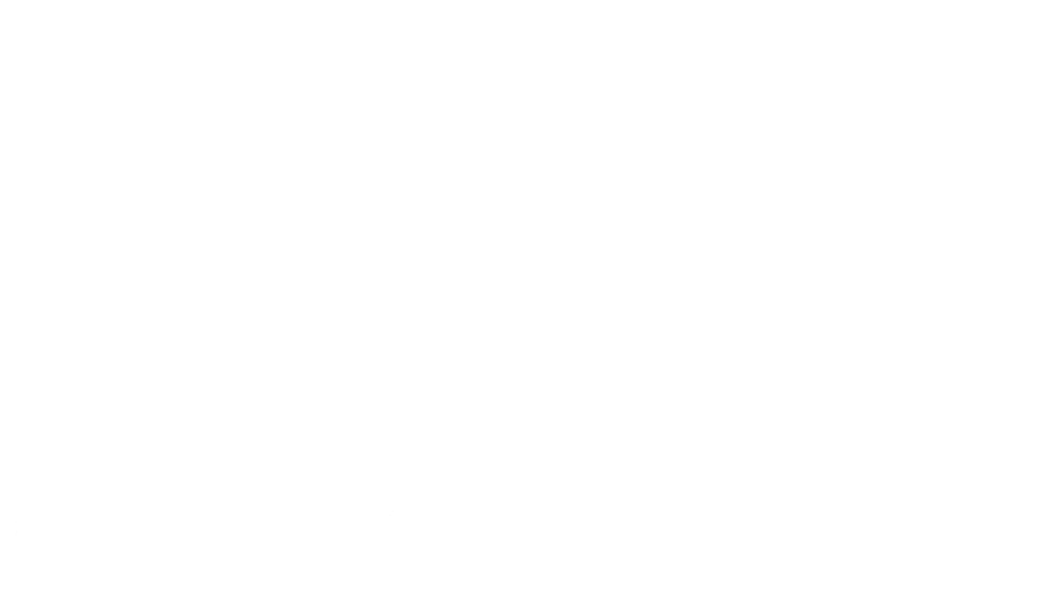 26년