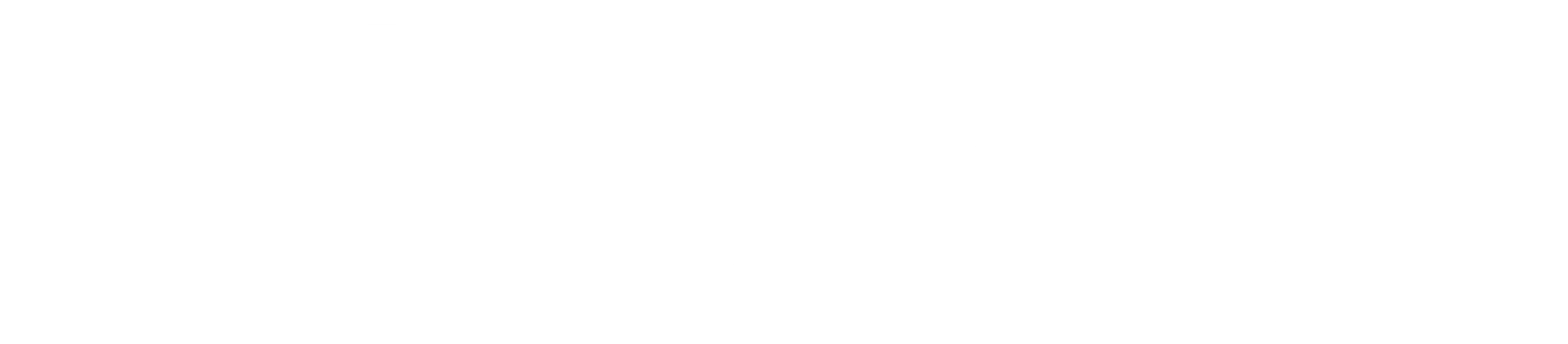 노던 라이트