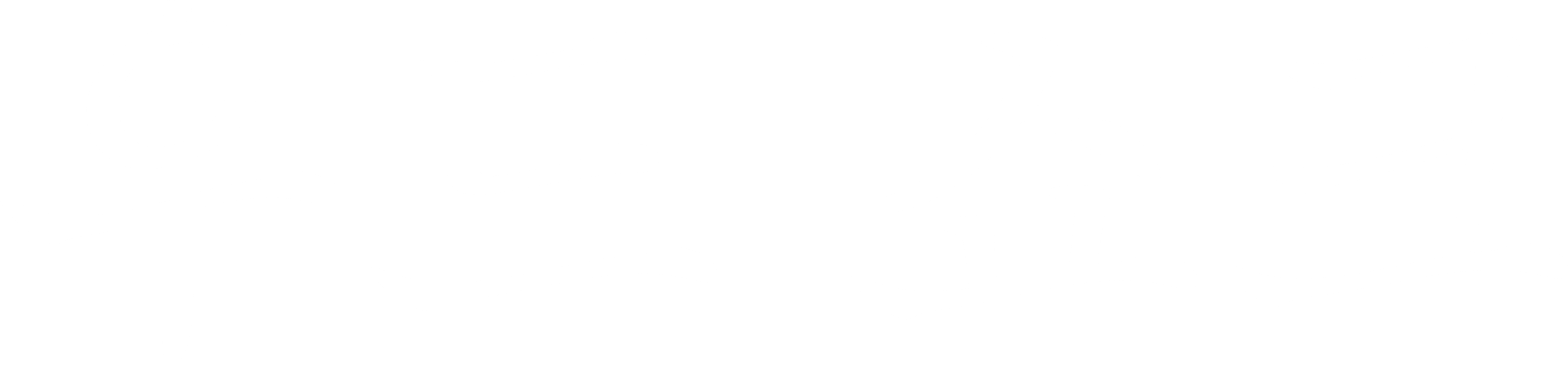 우드쇼크