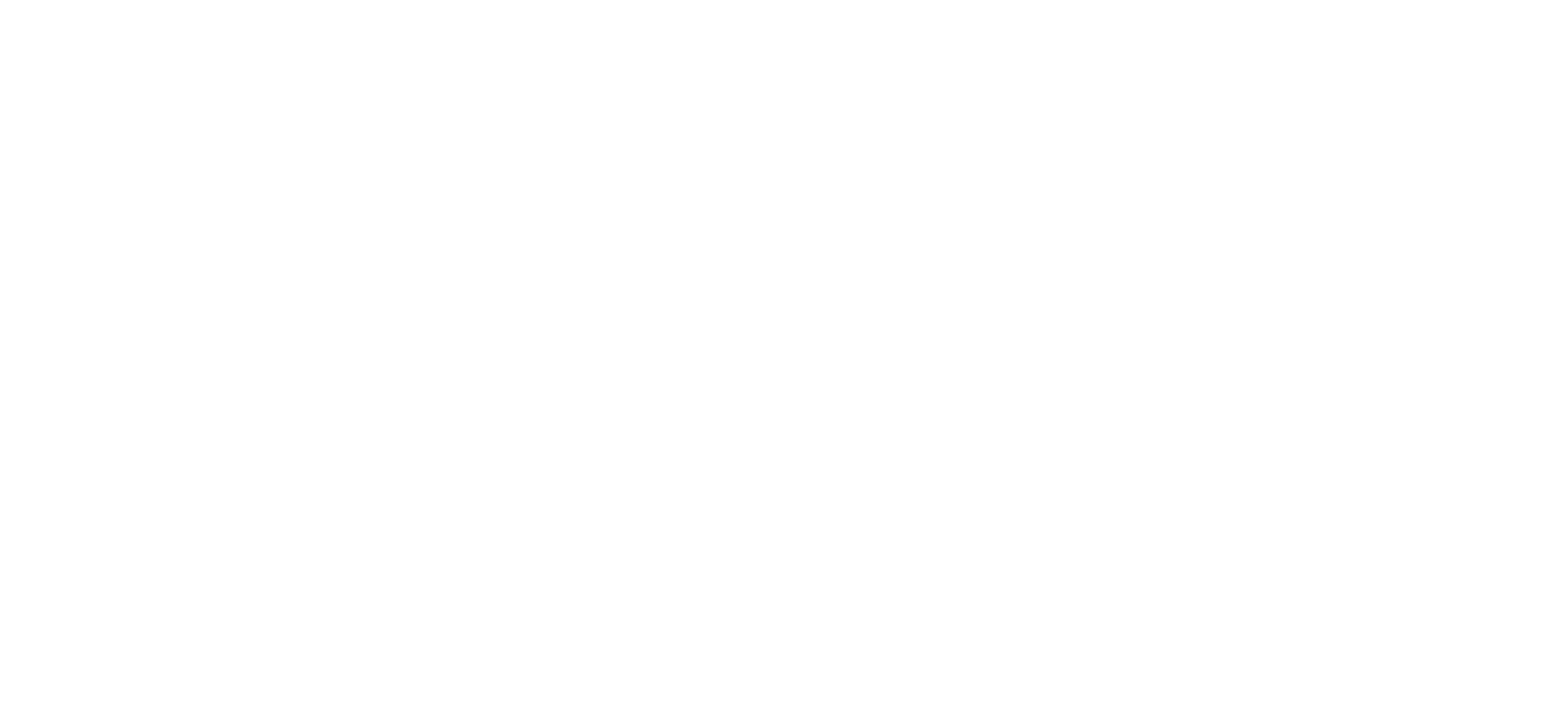 브라질에서 온 소년