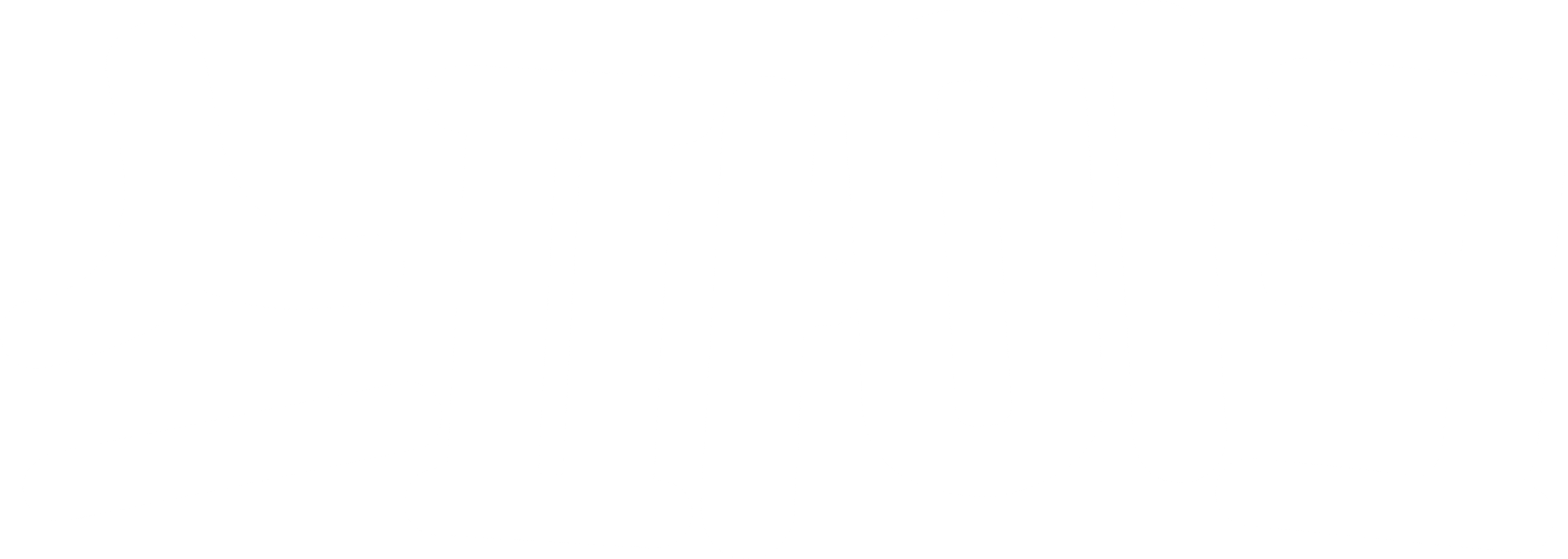 스파이크