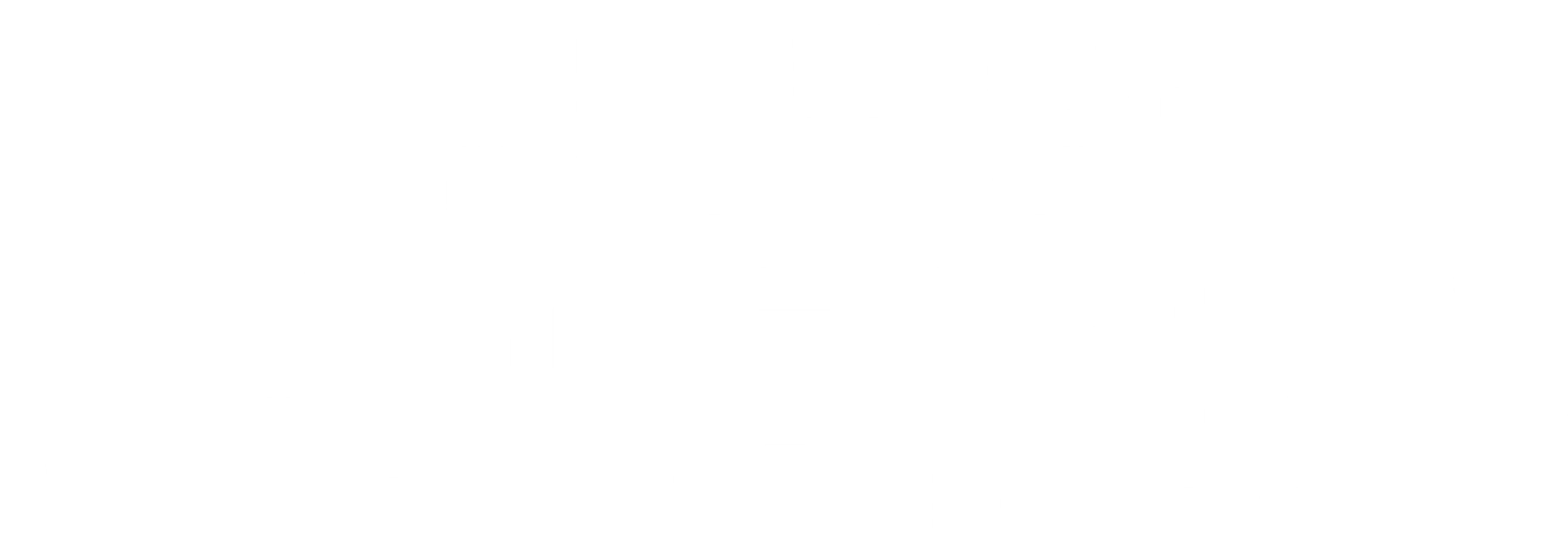위풍당당 질리 홉킨스
