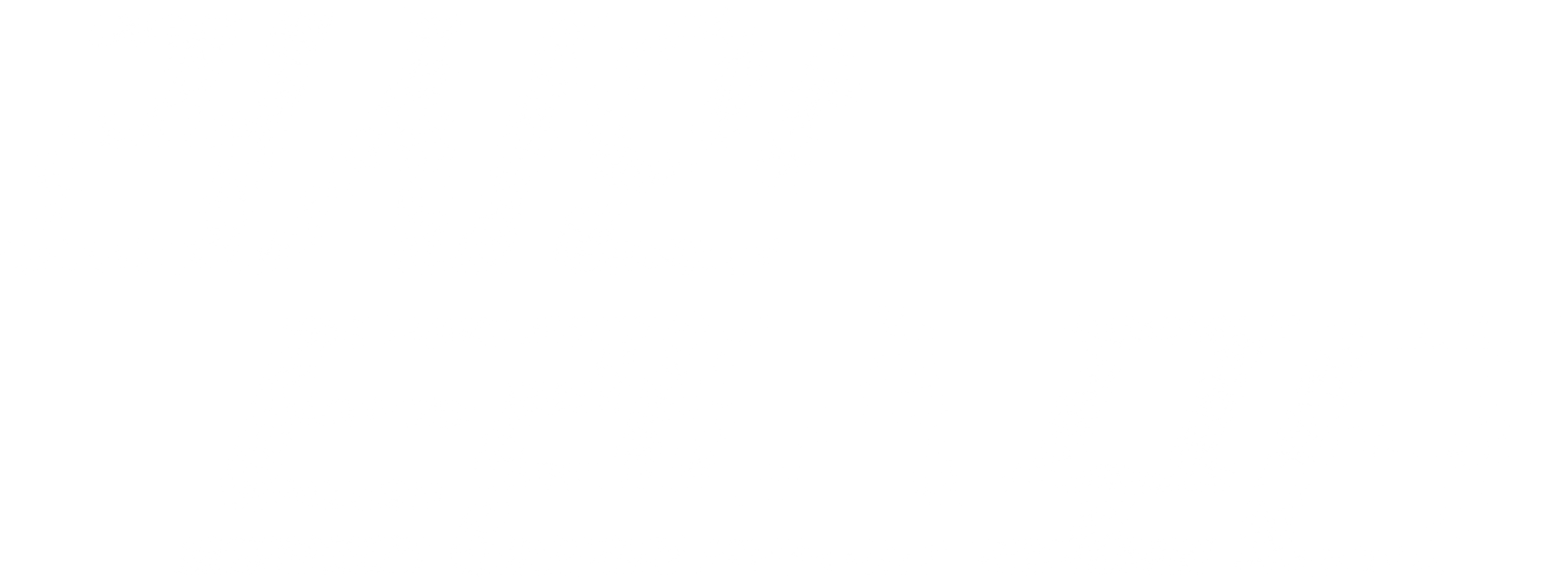 러시안 트랜스포터