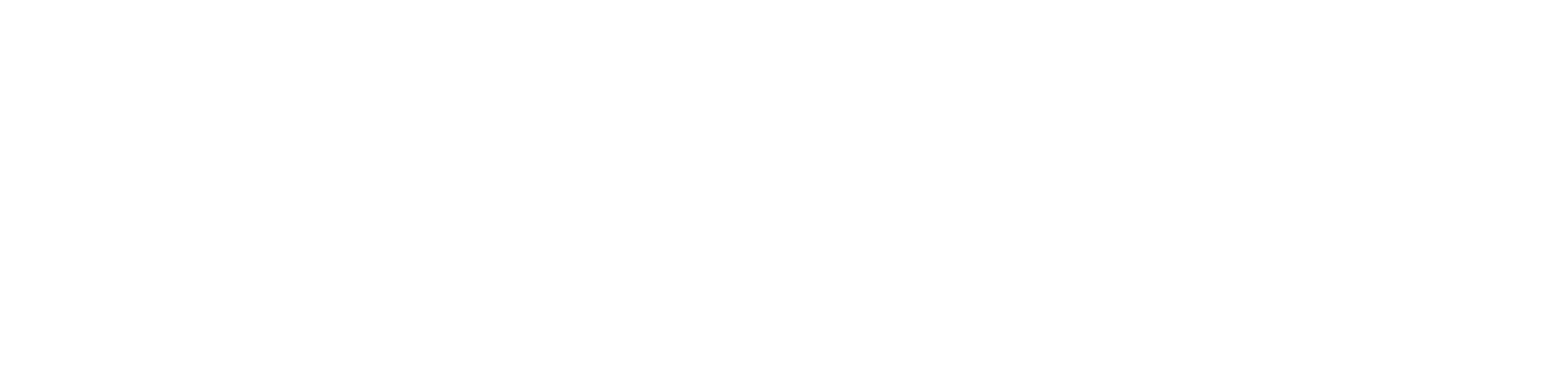 스파 나잇
