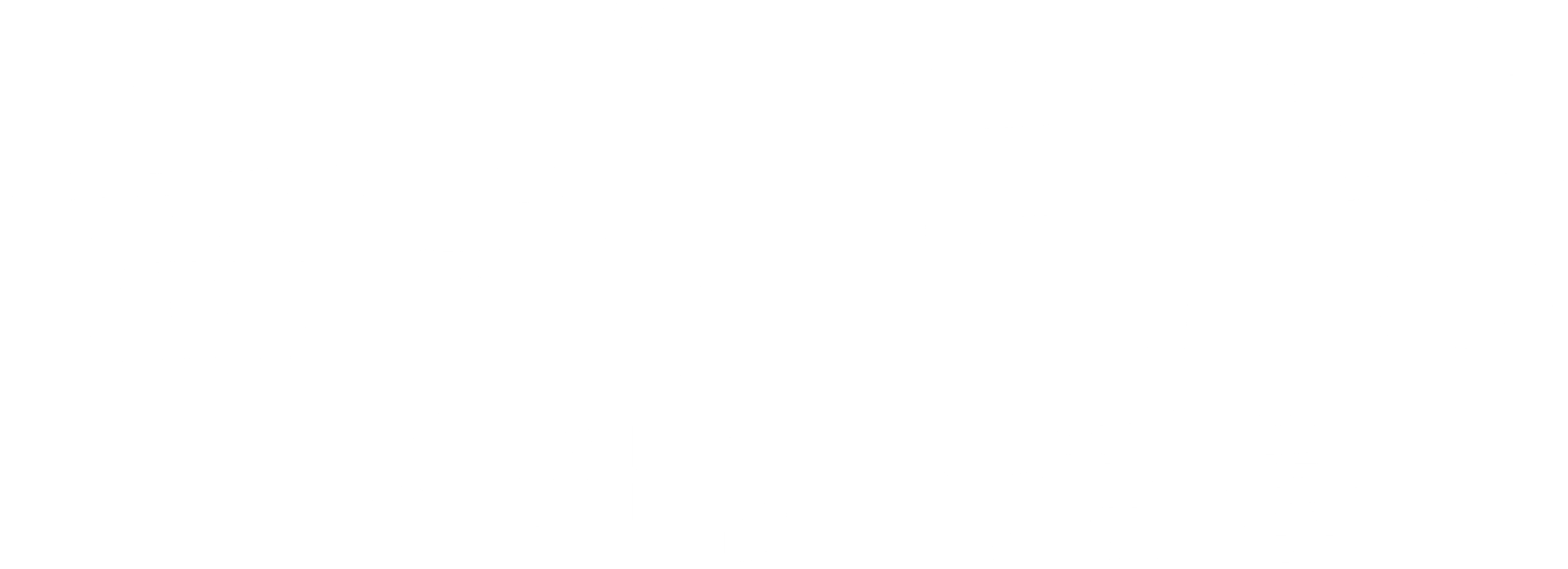 숲의 비명: 사라진 사람들