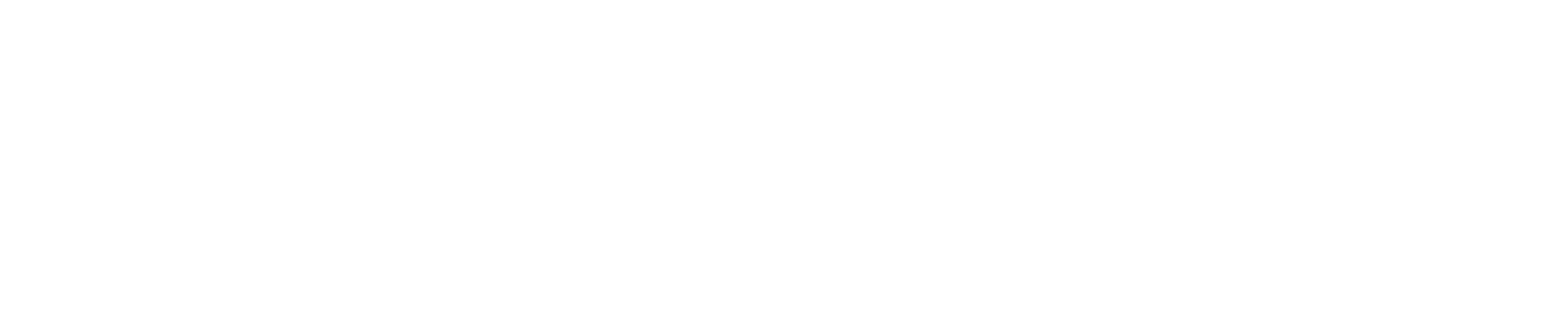 사랑의 선택