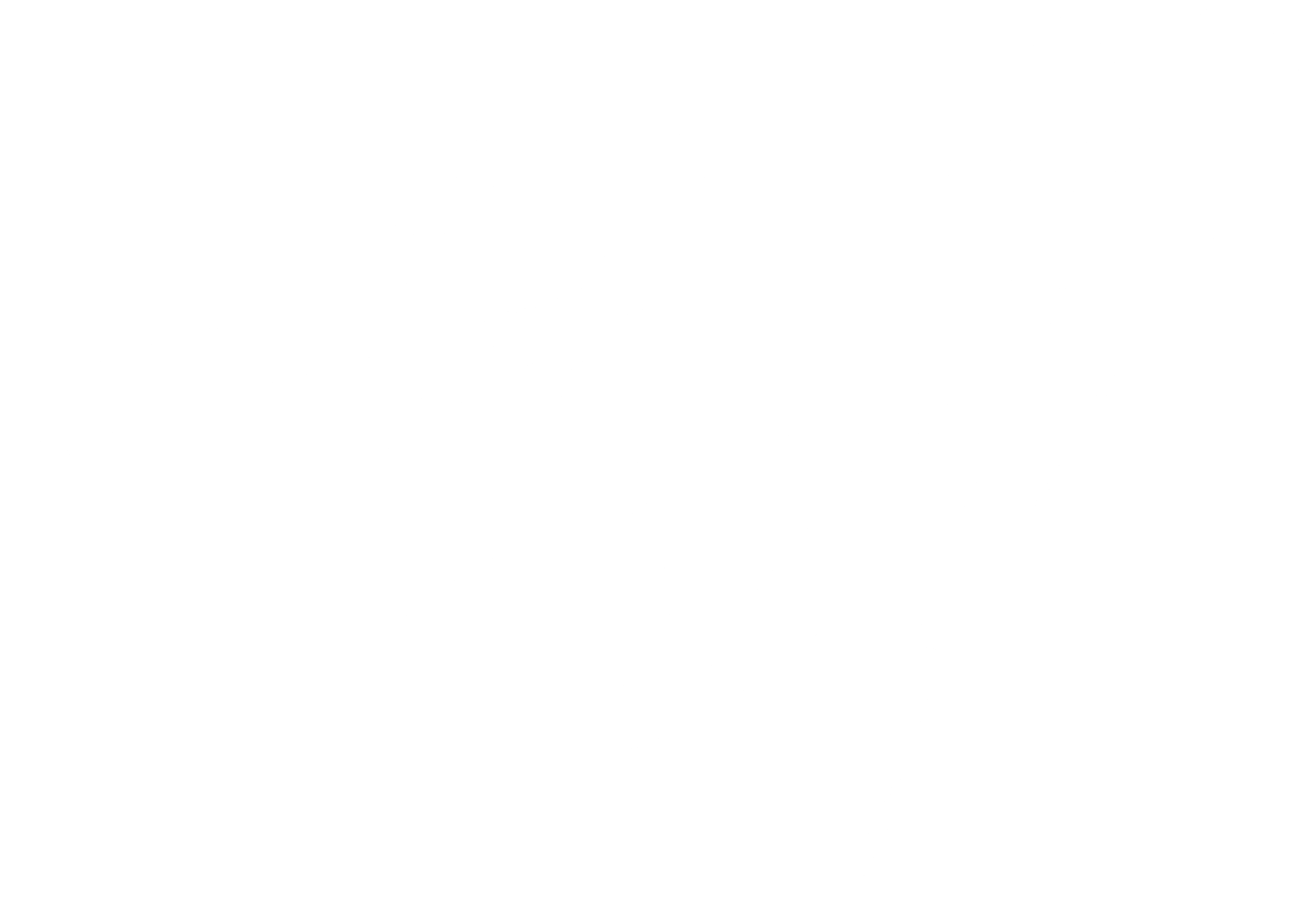 원펀치