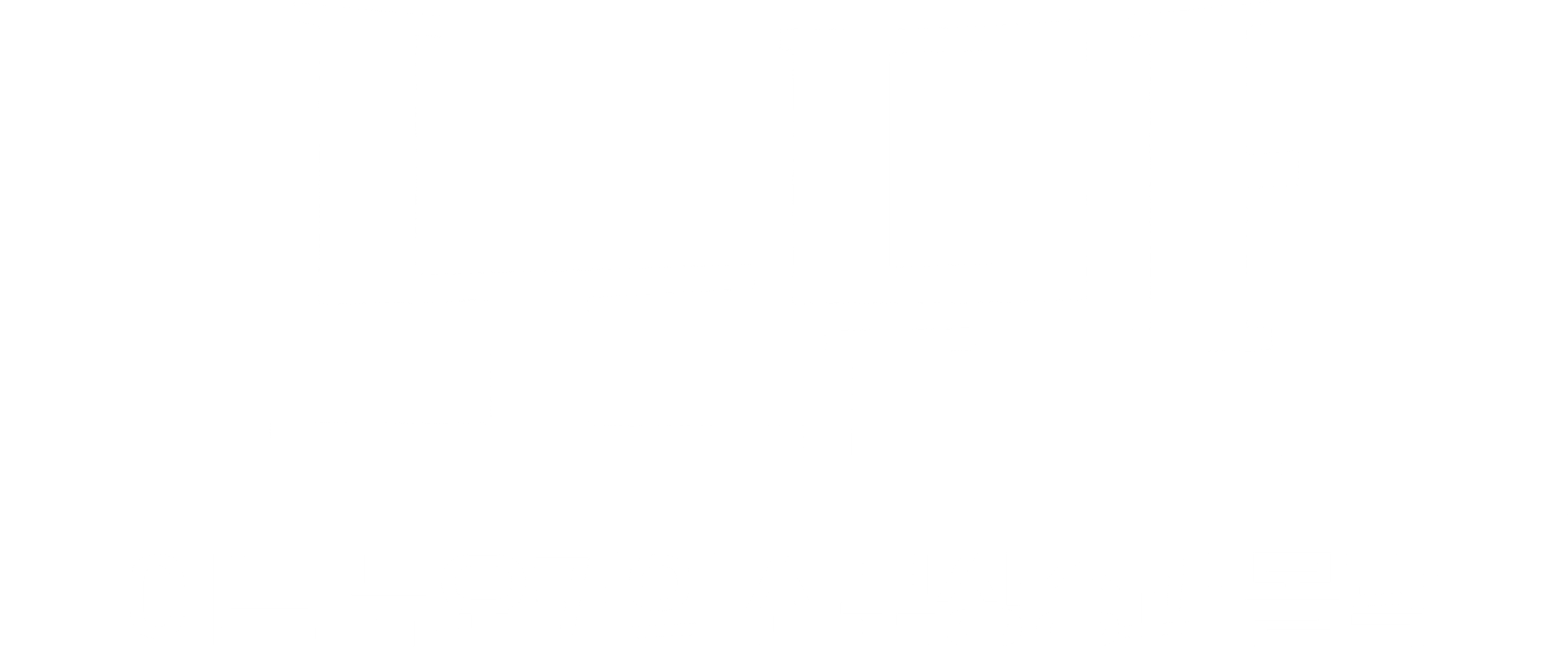 노만: 어느 뉴요커의 신분상승과 몰락