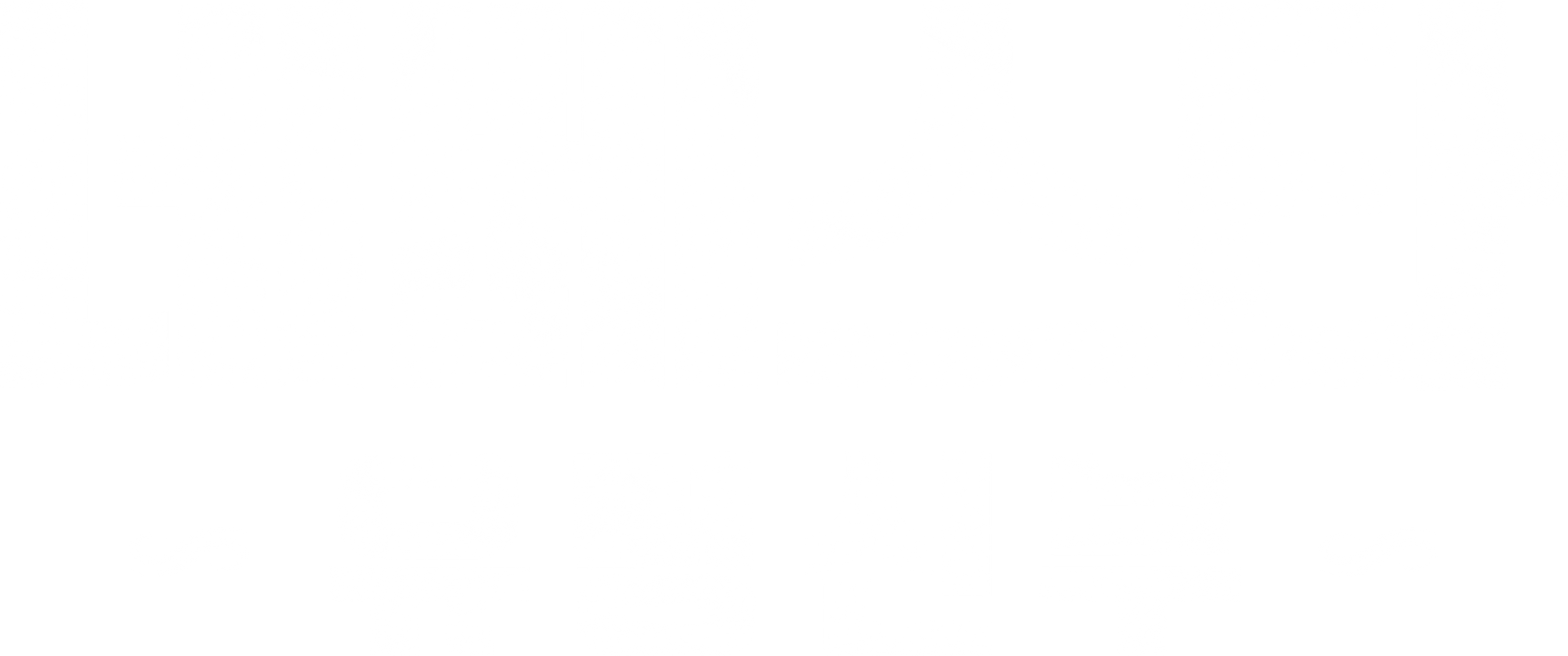 네베스타: 유령신부