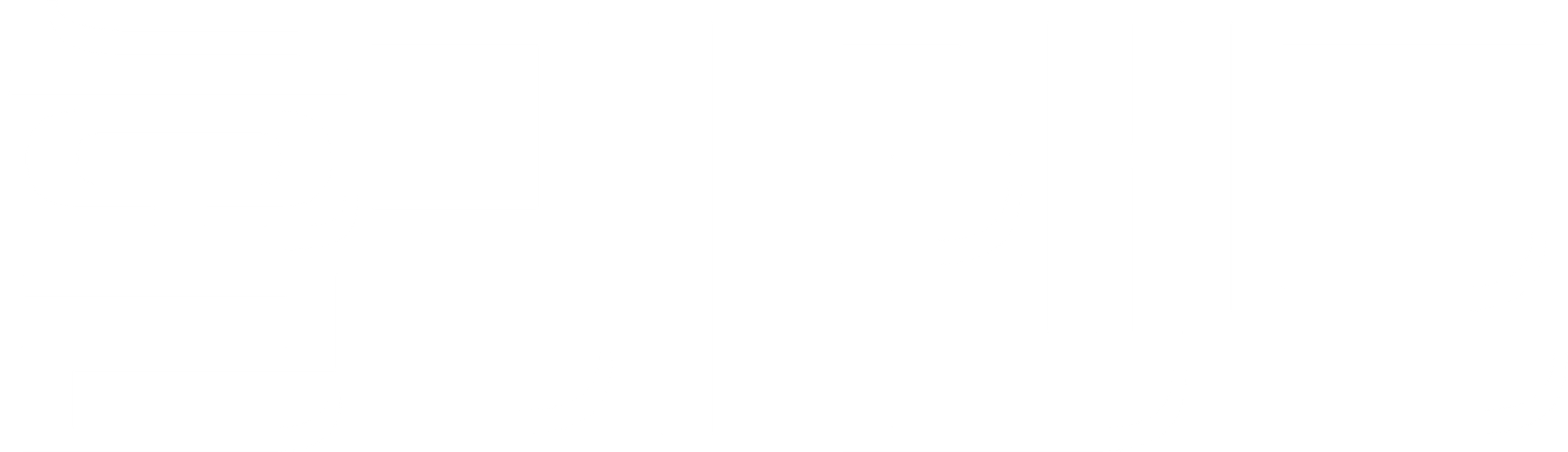 홀리 랜드