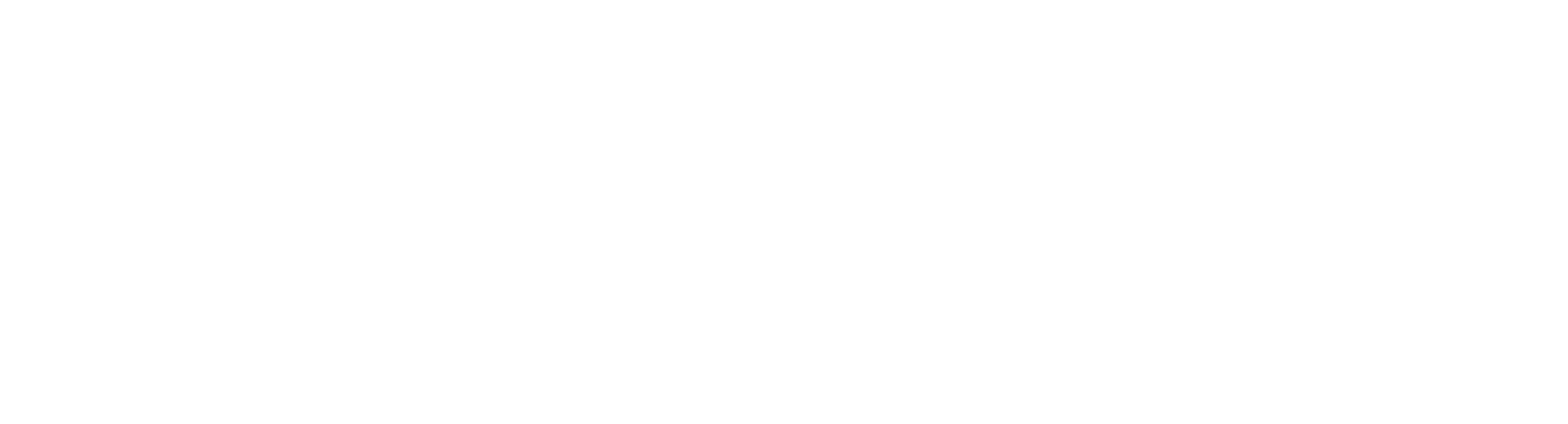 숙녀 초년생