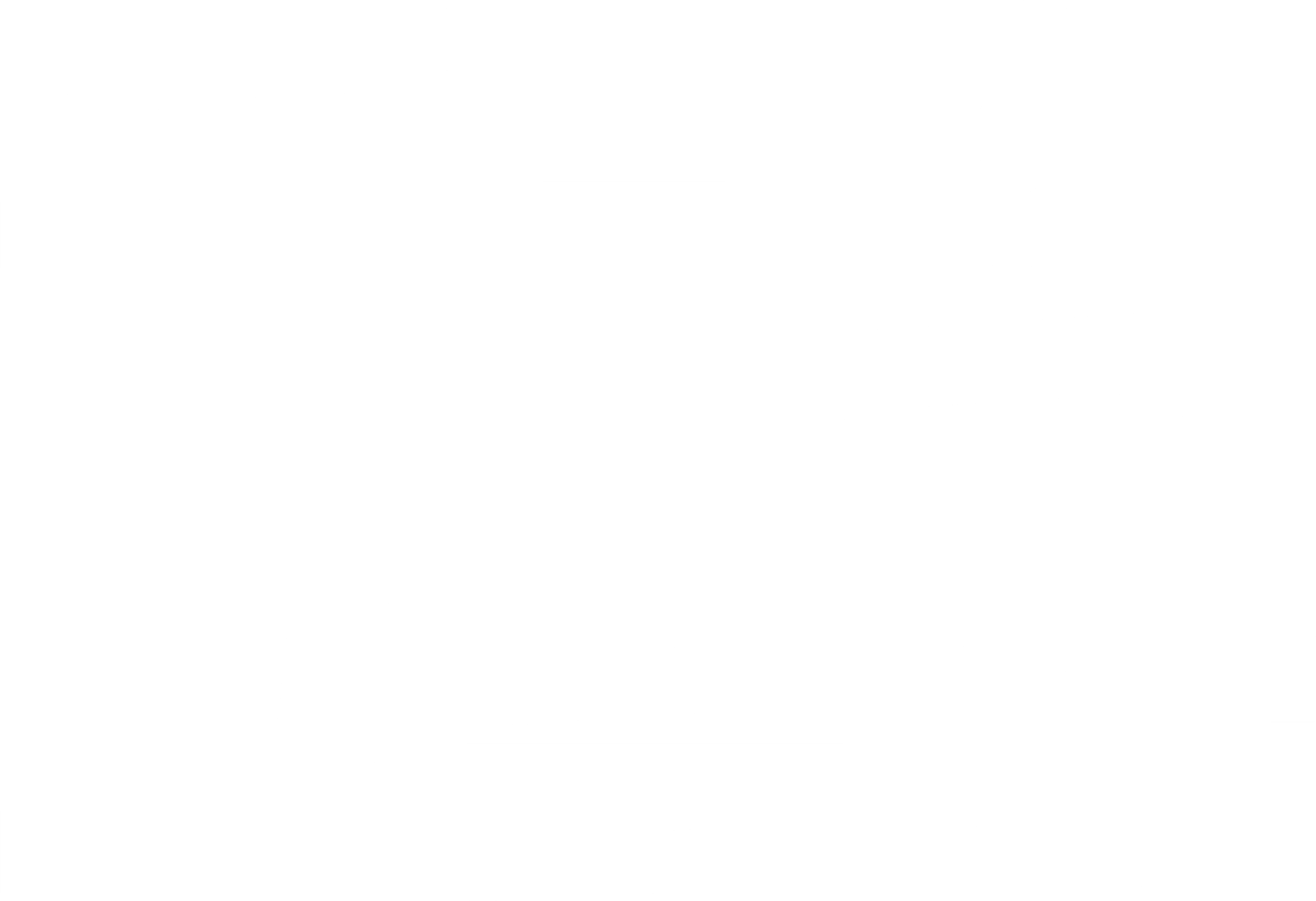 폭력의 그림자