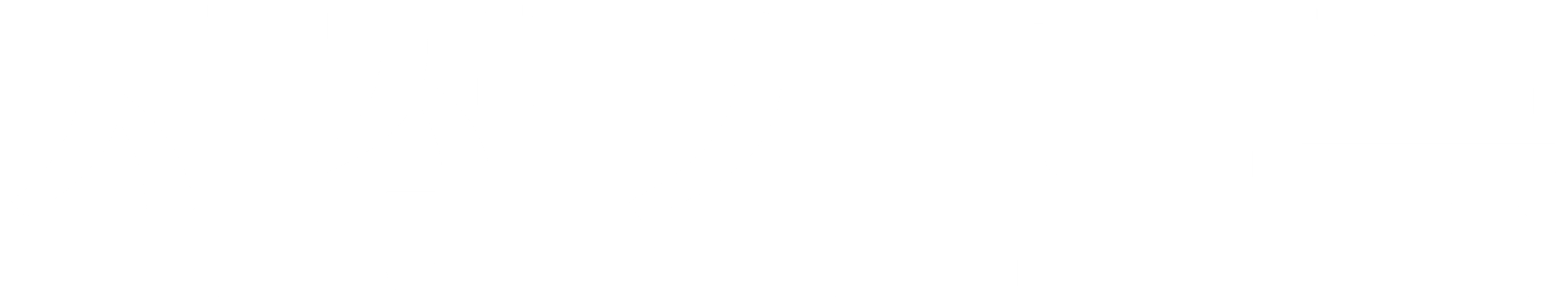 자전거 도둑
